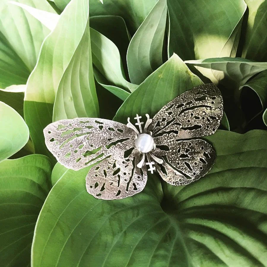 papillon close up 900.jpg