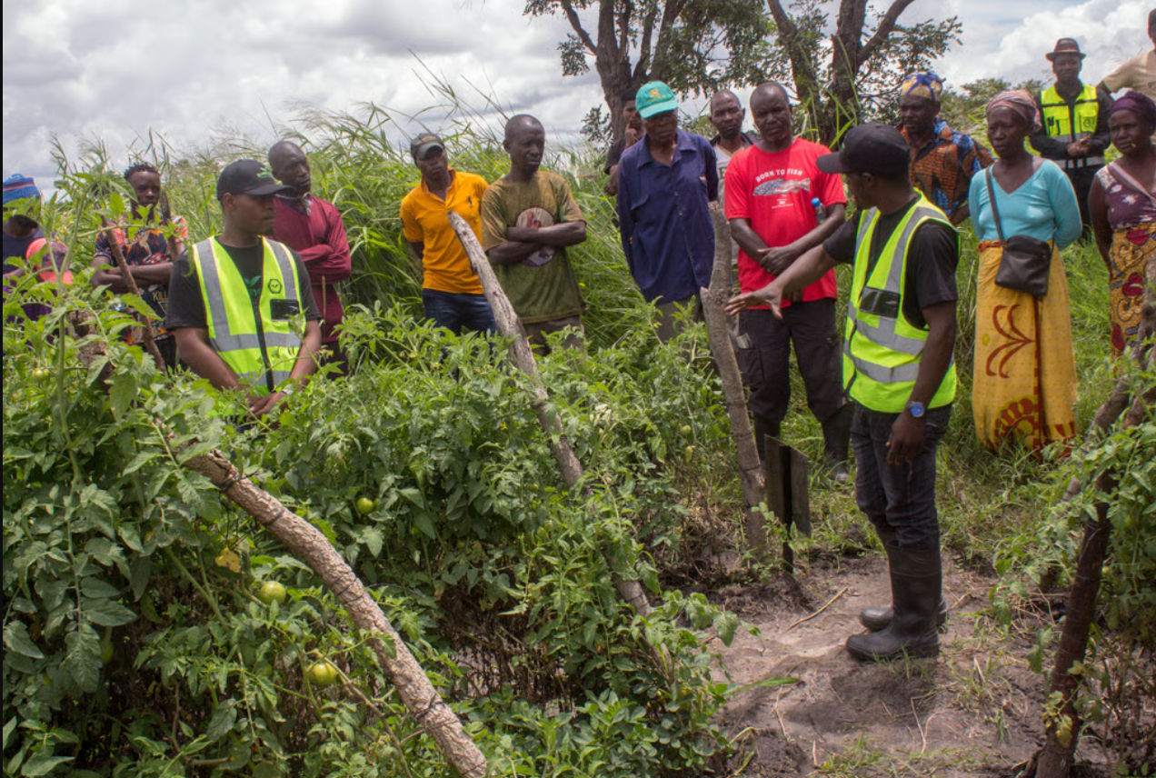 Umufundo Organic Granular Fertilizer