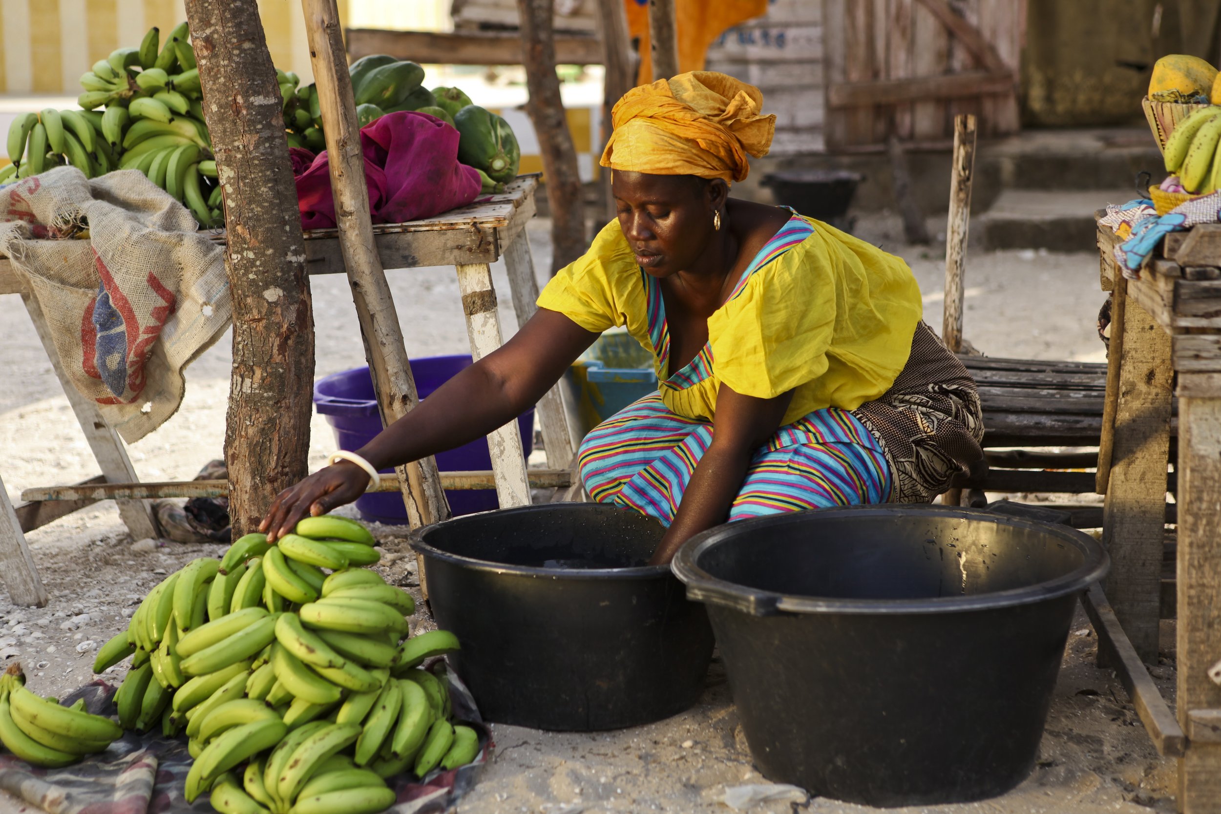Bayer Foundation And The Million Lives Collective Announce A New bayer-foundation-and-the-million-lives-collective-announce-a-new