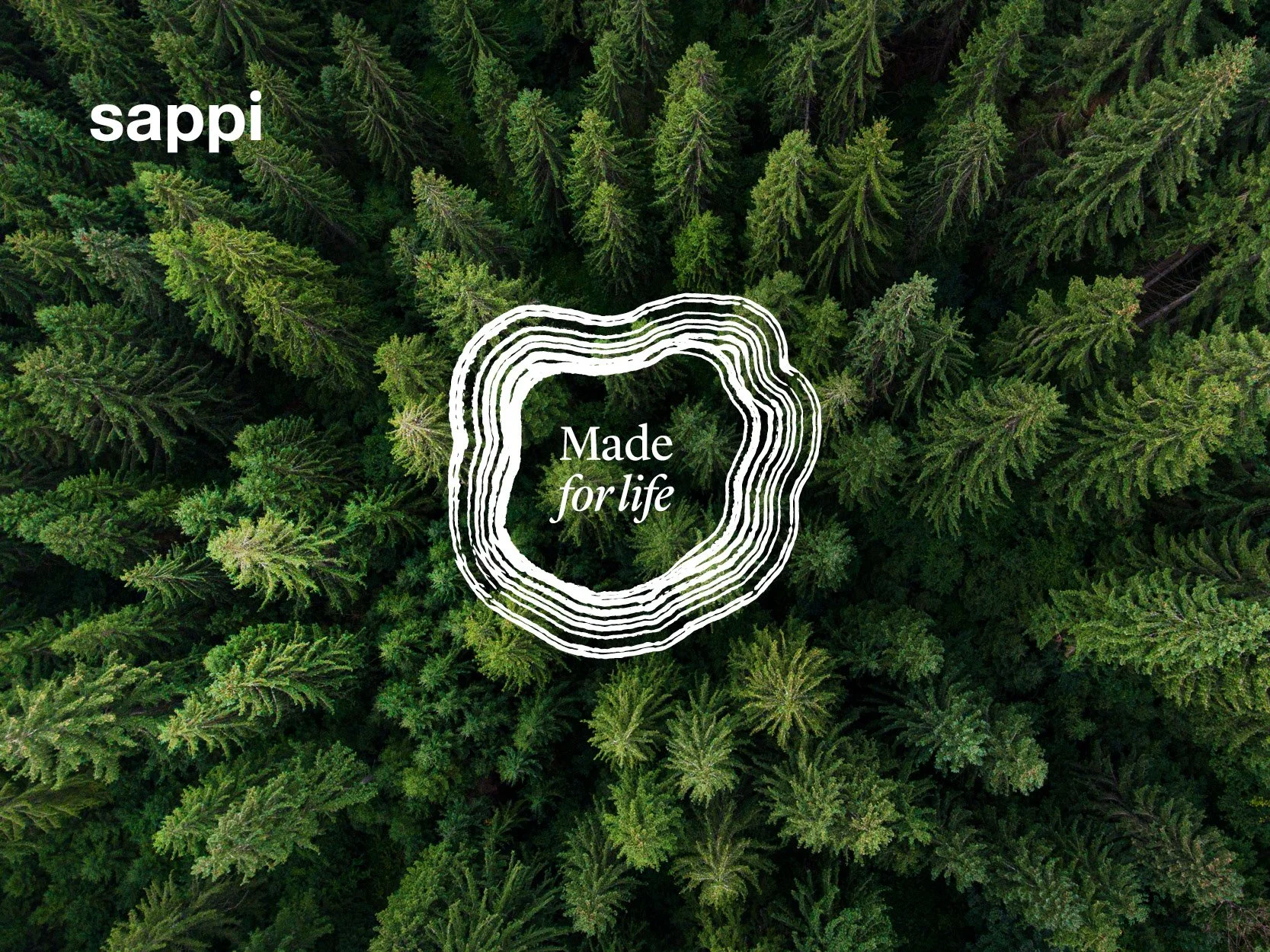 Sappi card digital2.jpg