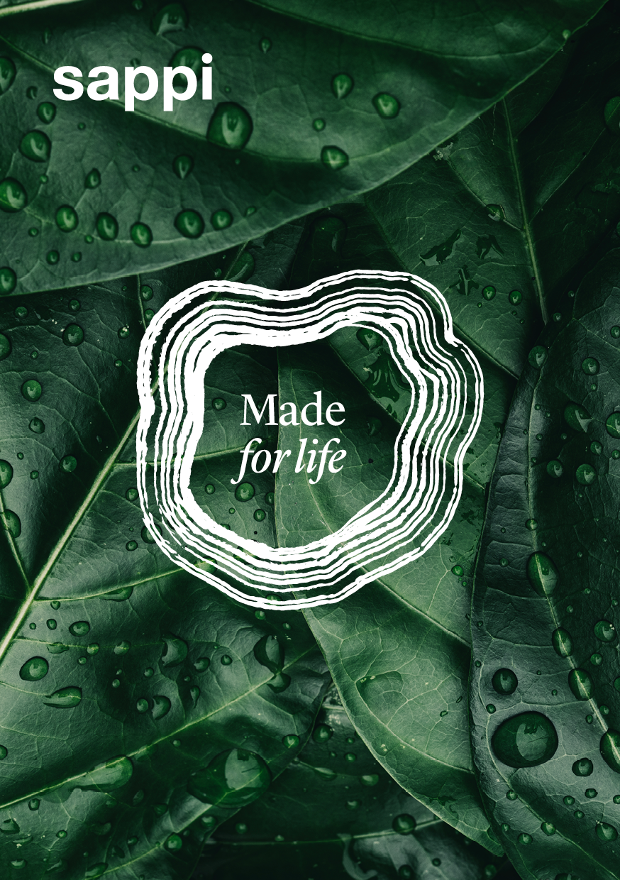 Building a global brand architecture: Sub-brand identity & platform