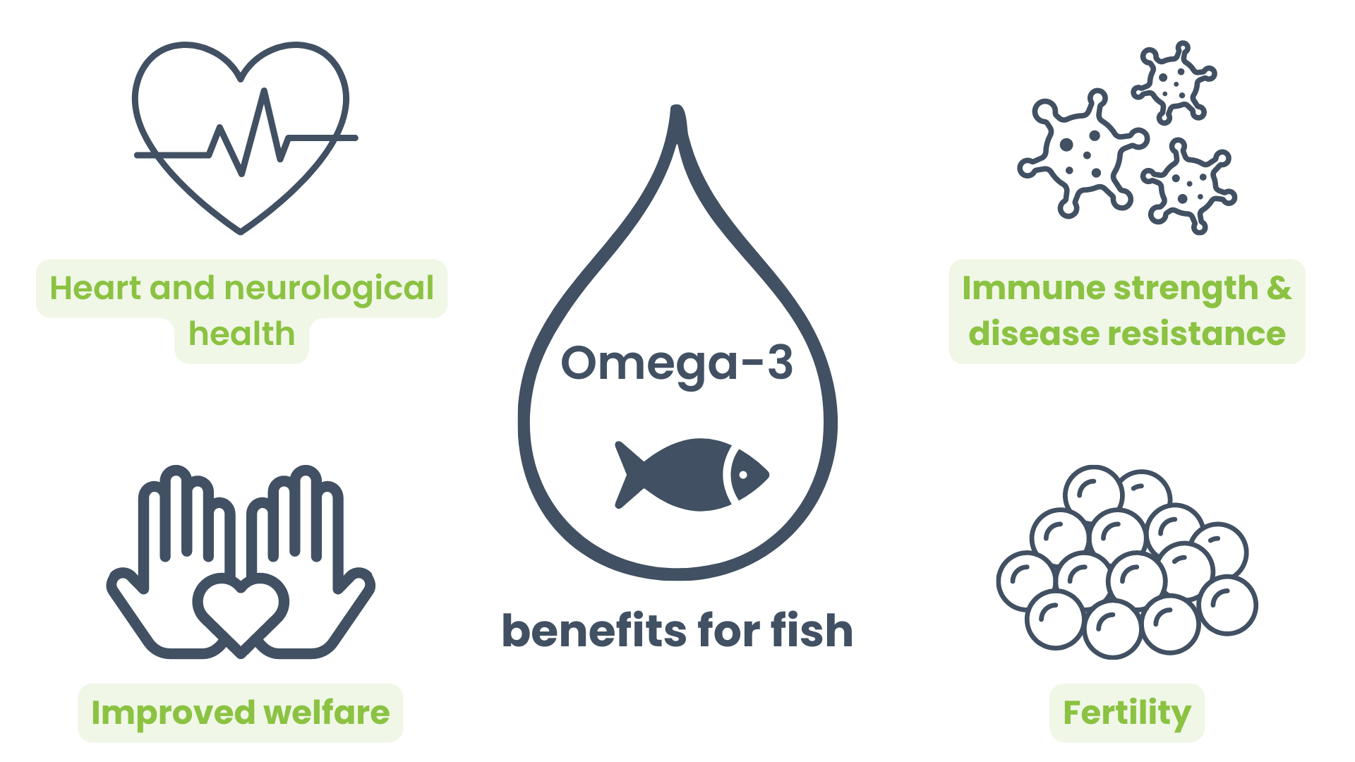 MiAlgae Omega-3 Fish Infographic.png