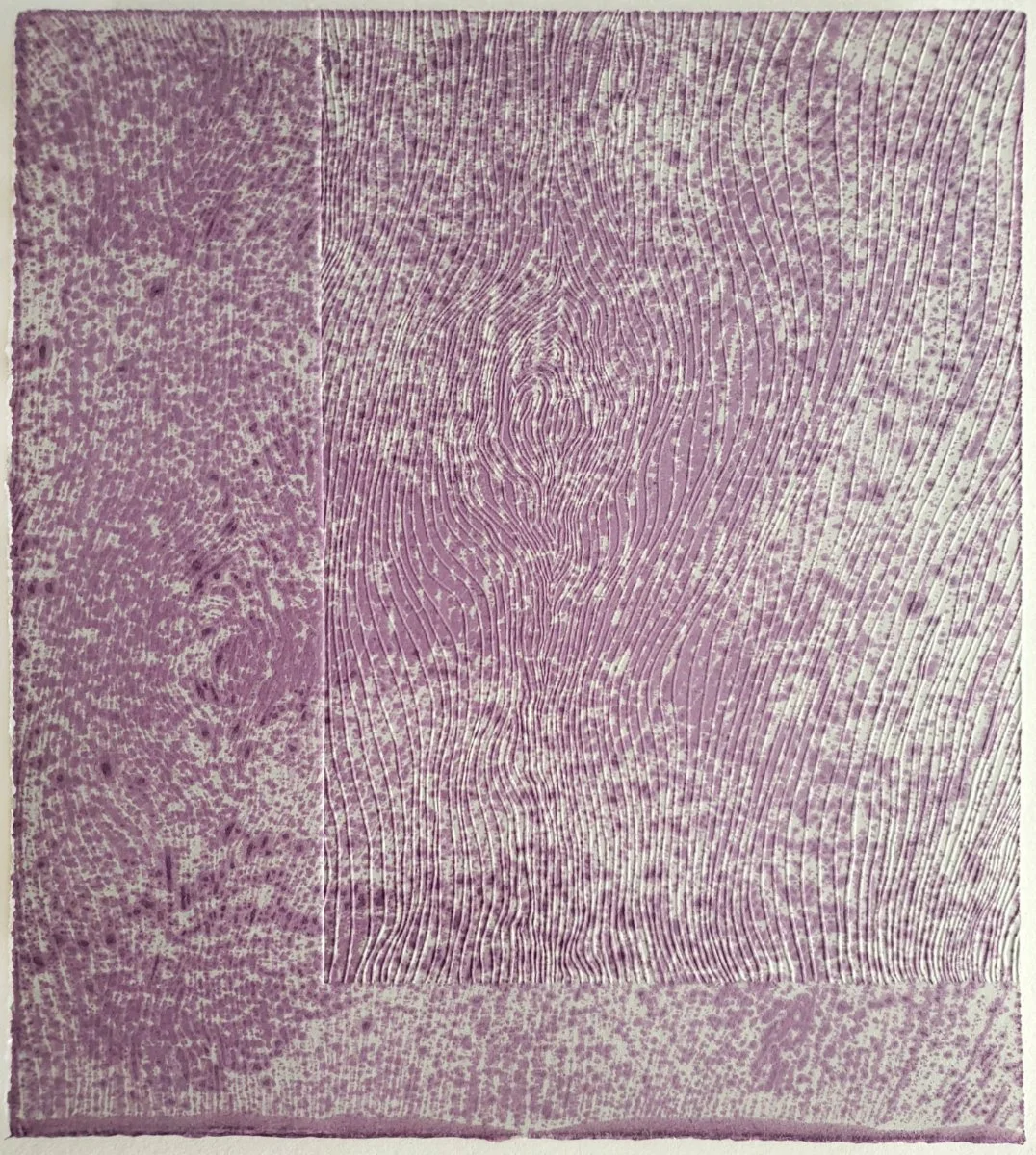 Dissembling Assembly: Entrainment - finalist in Muswellbrook Prize 2026