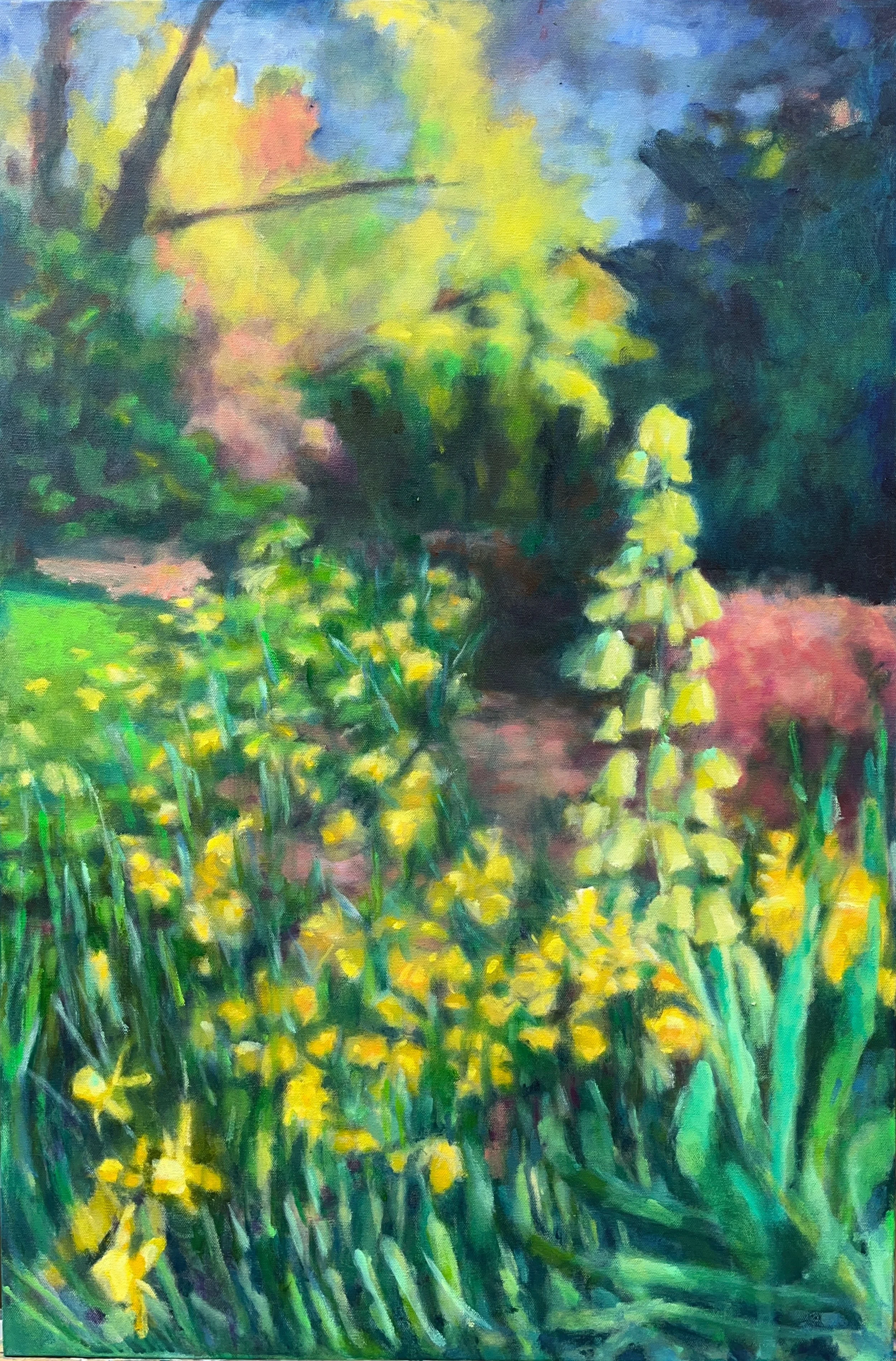 Daffodils at the Brooklyn Botanic Gardens