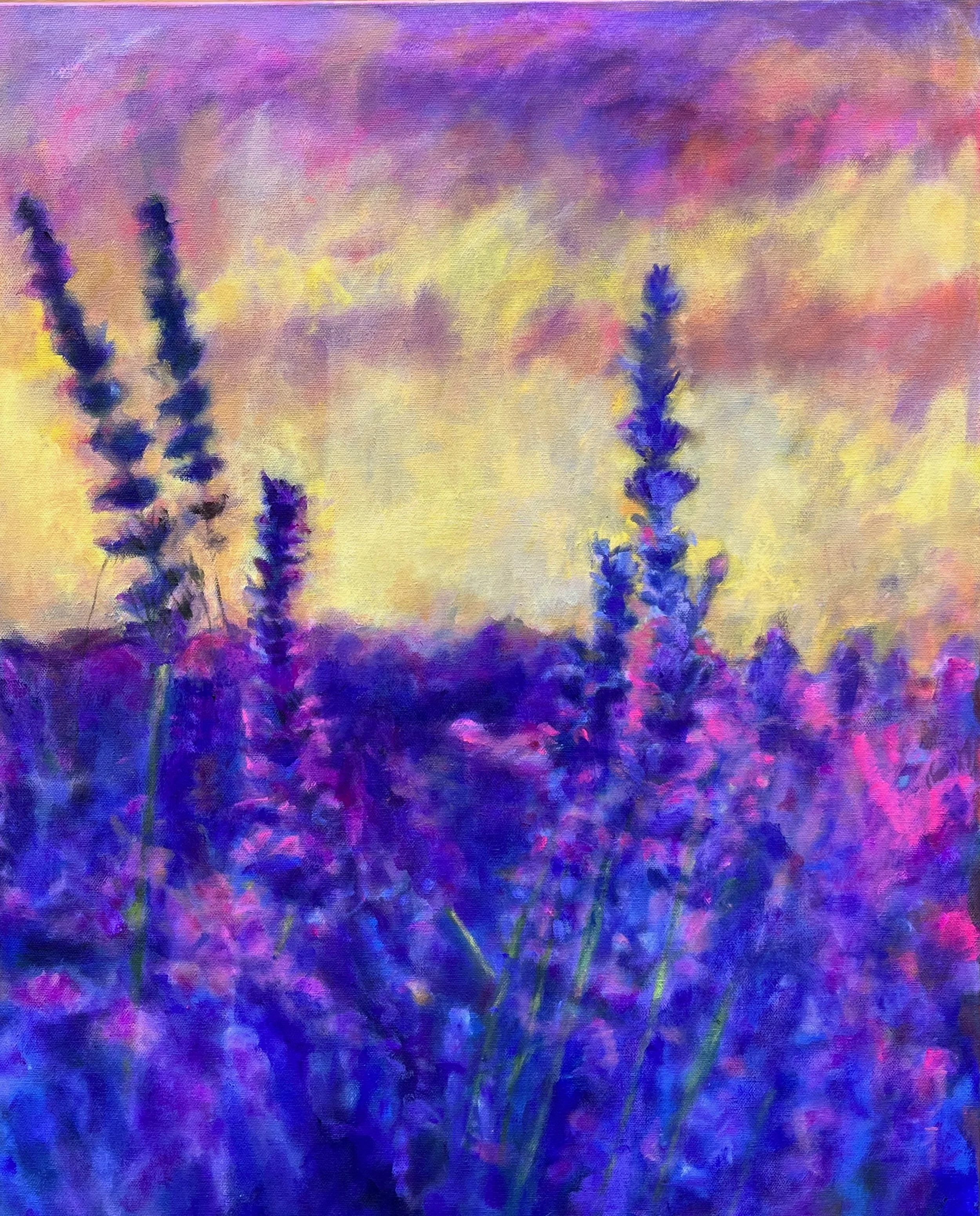 Lavender Sunset