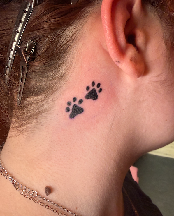 Screen Shot 2026-03-11 at 12.47.17 PM.png