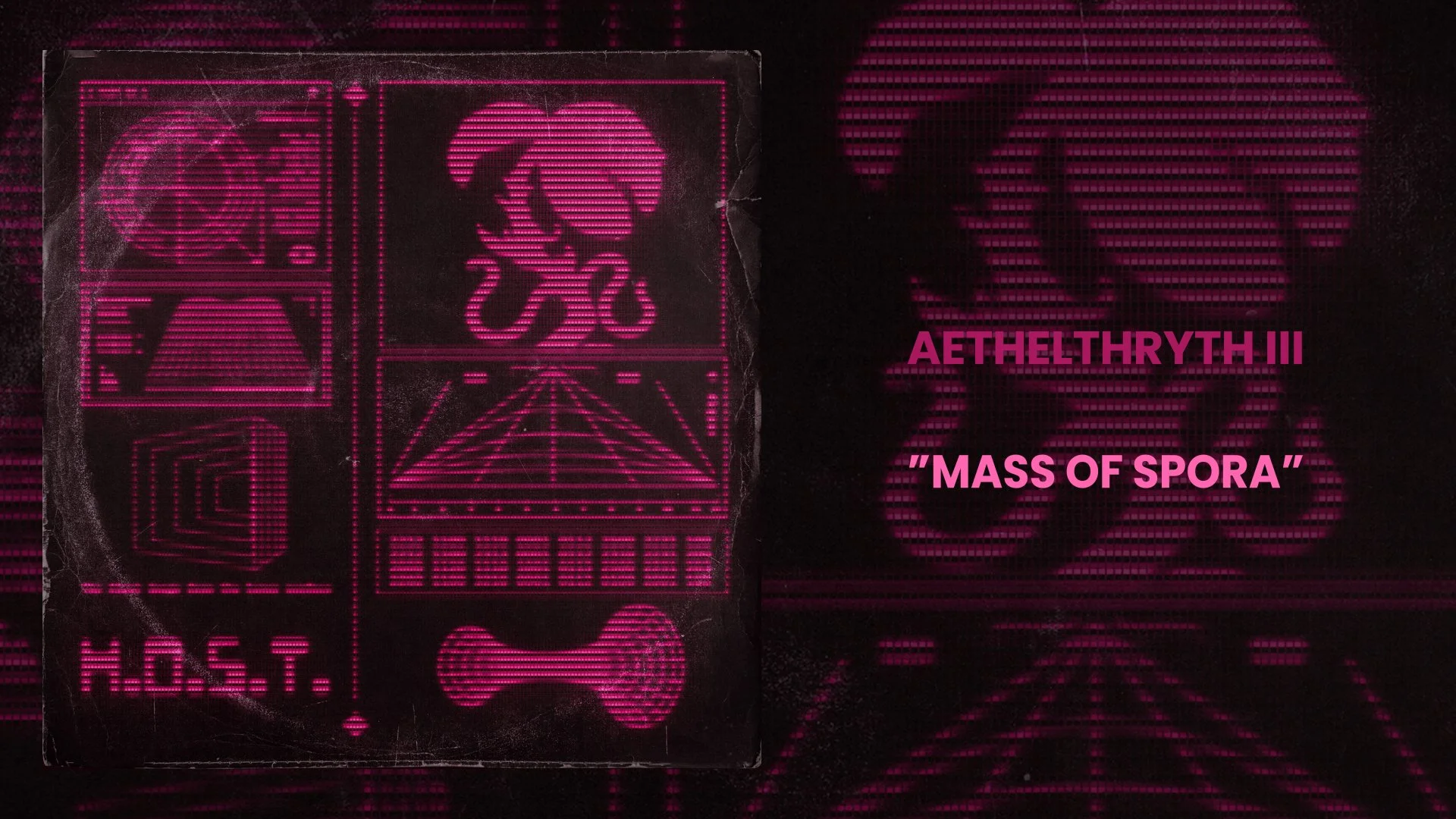 “Mass of Spora”