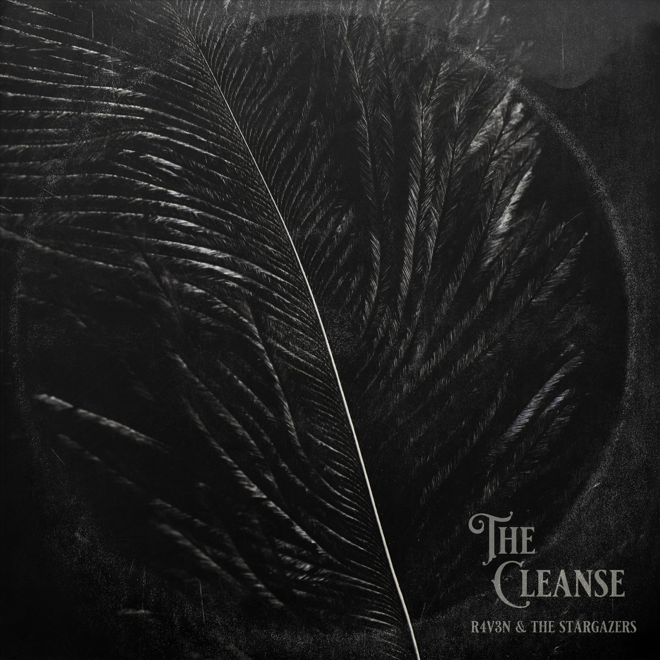 The Cleanse