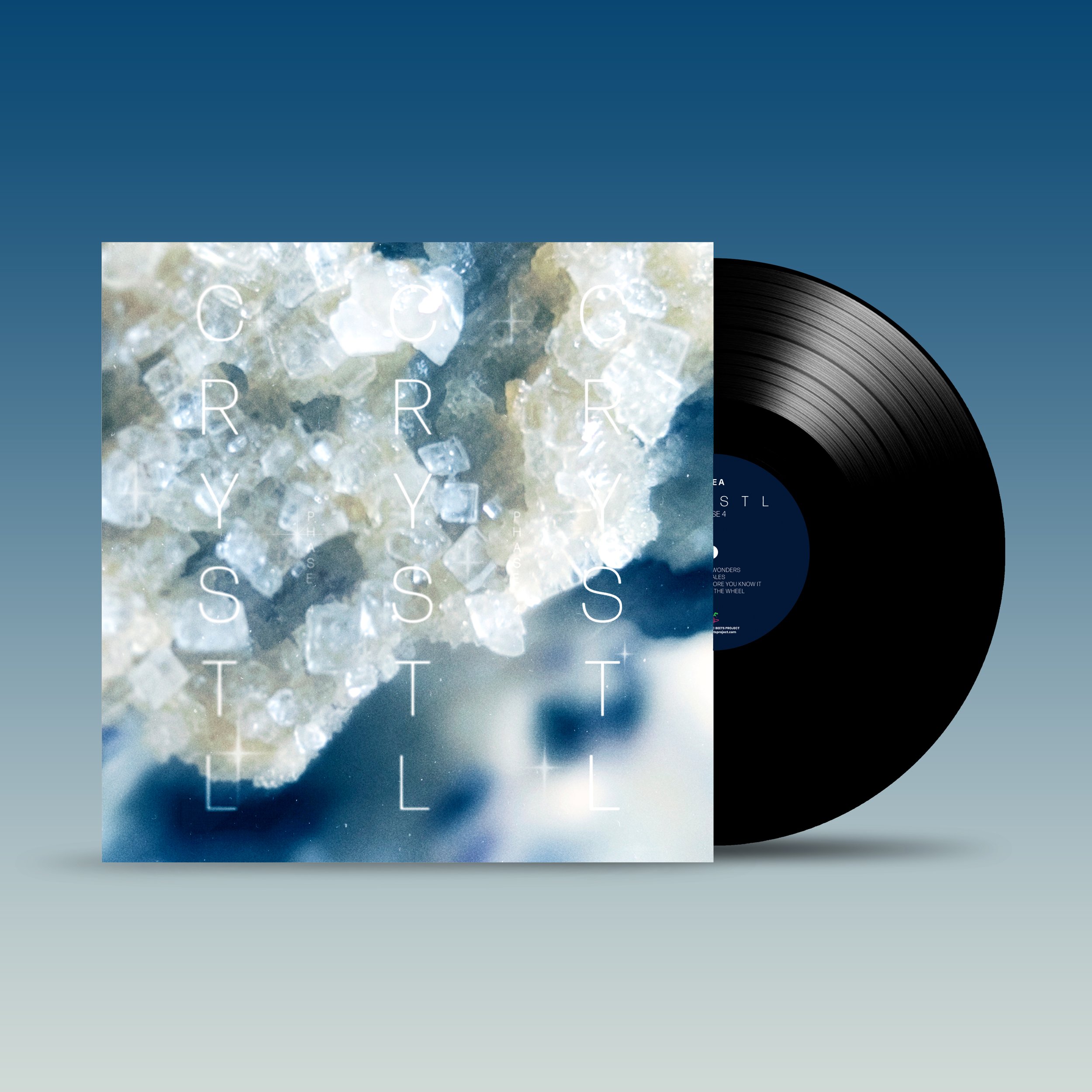 Crystl Vinyl Mockup.jpg