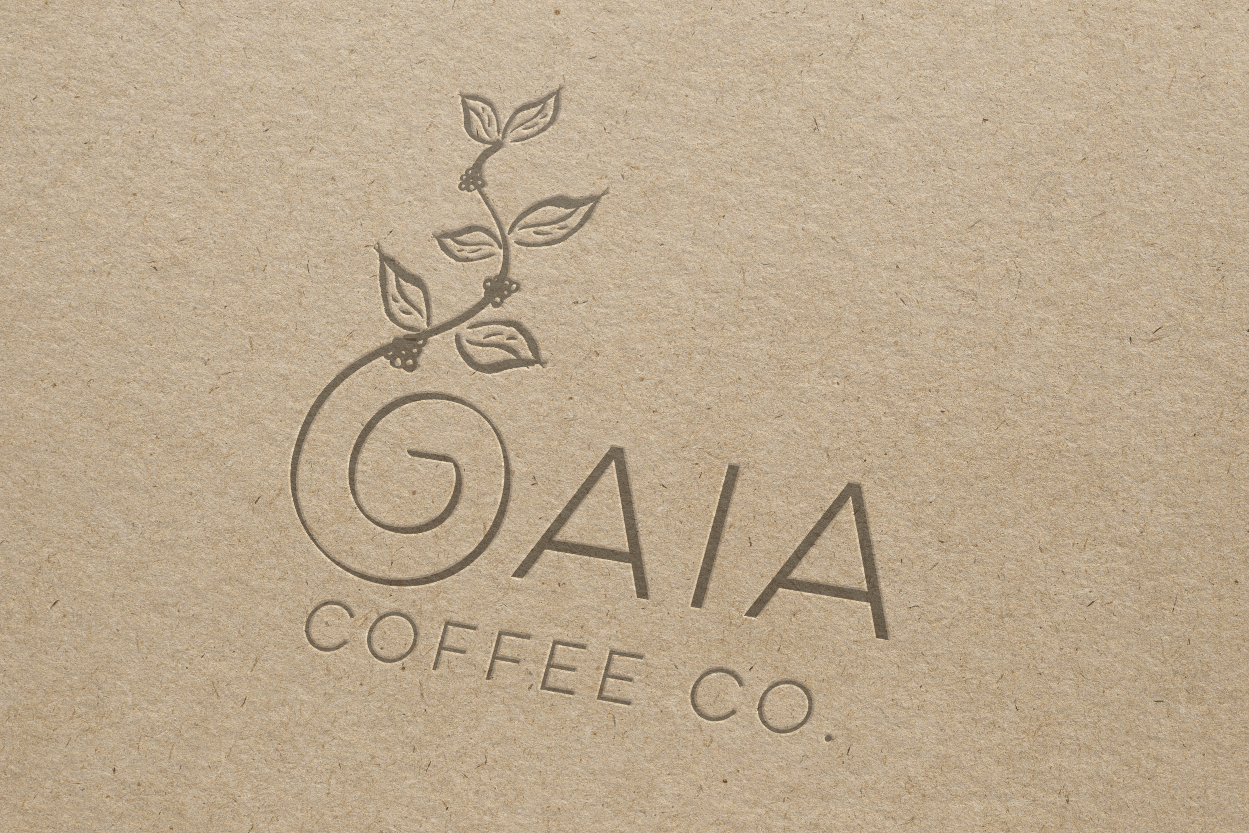 logo-min.png