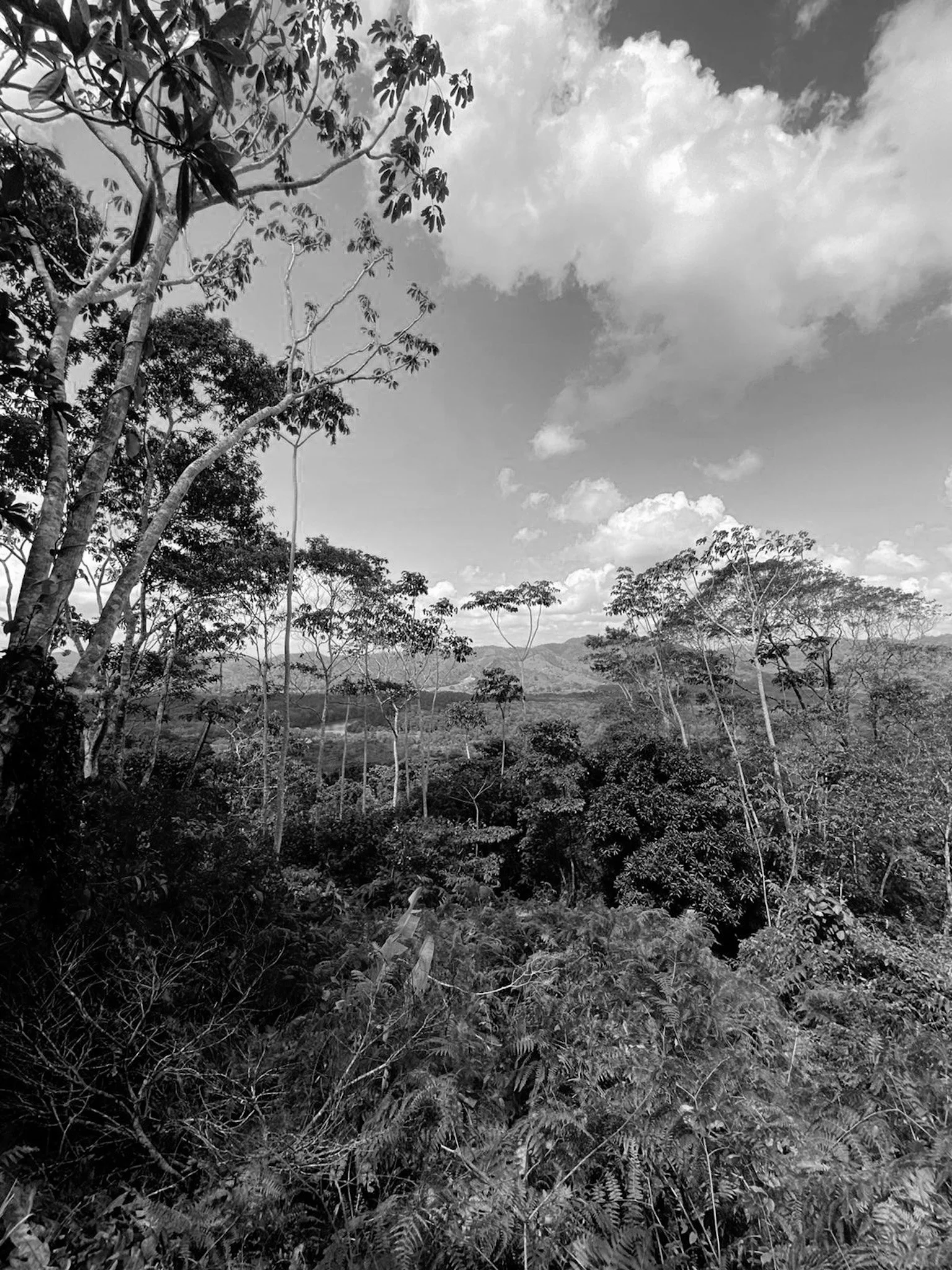 250e2589-ba3a-46ce-9549-64ee8388ba25 3.JPG