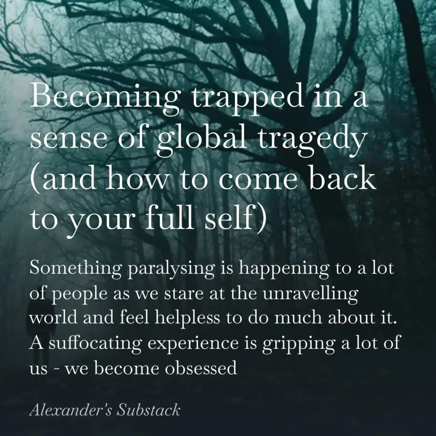 I am pouring all my current knowledge and passion into my Substack as I scale up to write my next book. Follow me (link in bio)! 

#metacrisis #climtechange #wildfires #psychology #mentalhealth