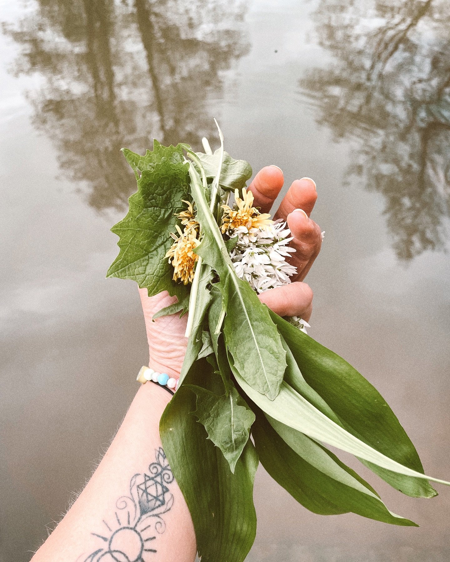 Hands up where my foragers at??? And what are you scooping up this weekend? I&rsquo;m looking for inspiration 🌱