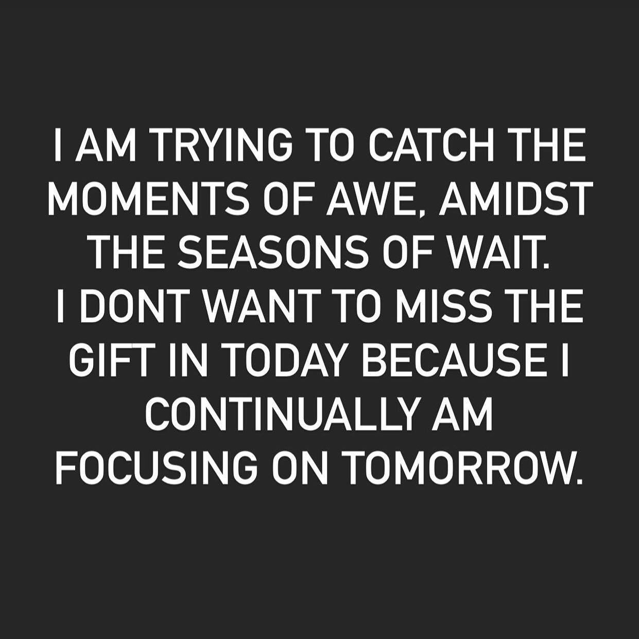 Remembering to slow myself down, when all I want to do is reach what is next. What is here, now in this moment, holds something easily missed if I am not aware. 💜