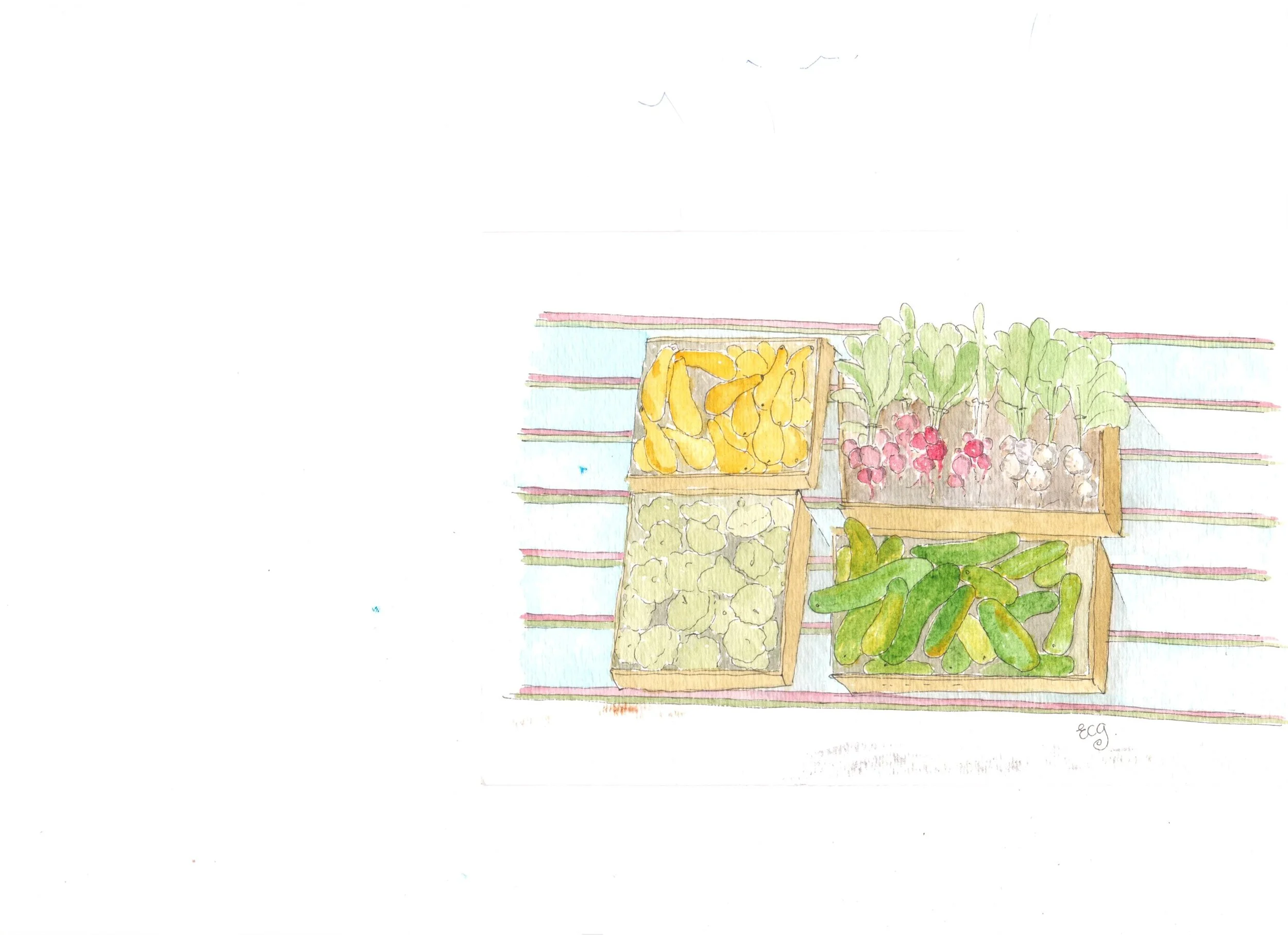 2010 image of squashes_ radishes and cukes EG (1).jpg