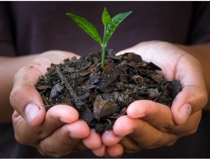 Introduction to Biochar Workshop