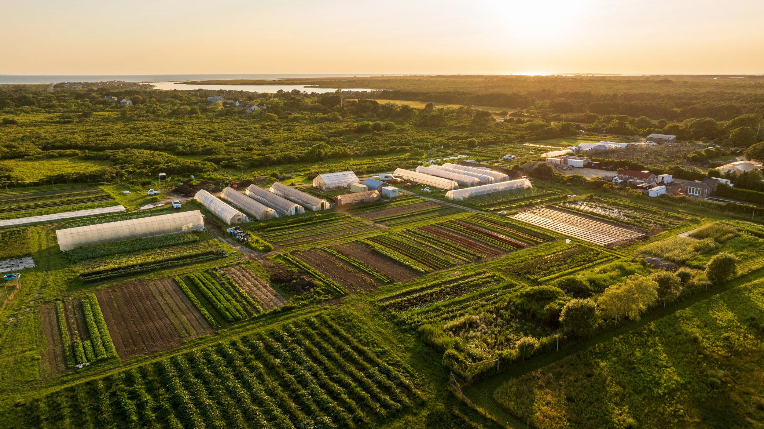 Sustainable Nantucket's Annual Meeting