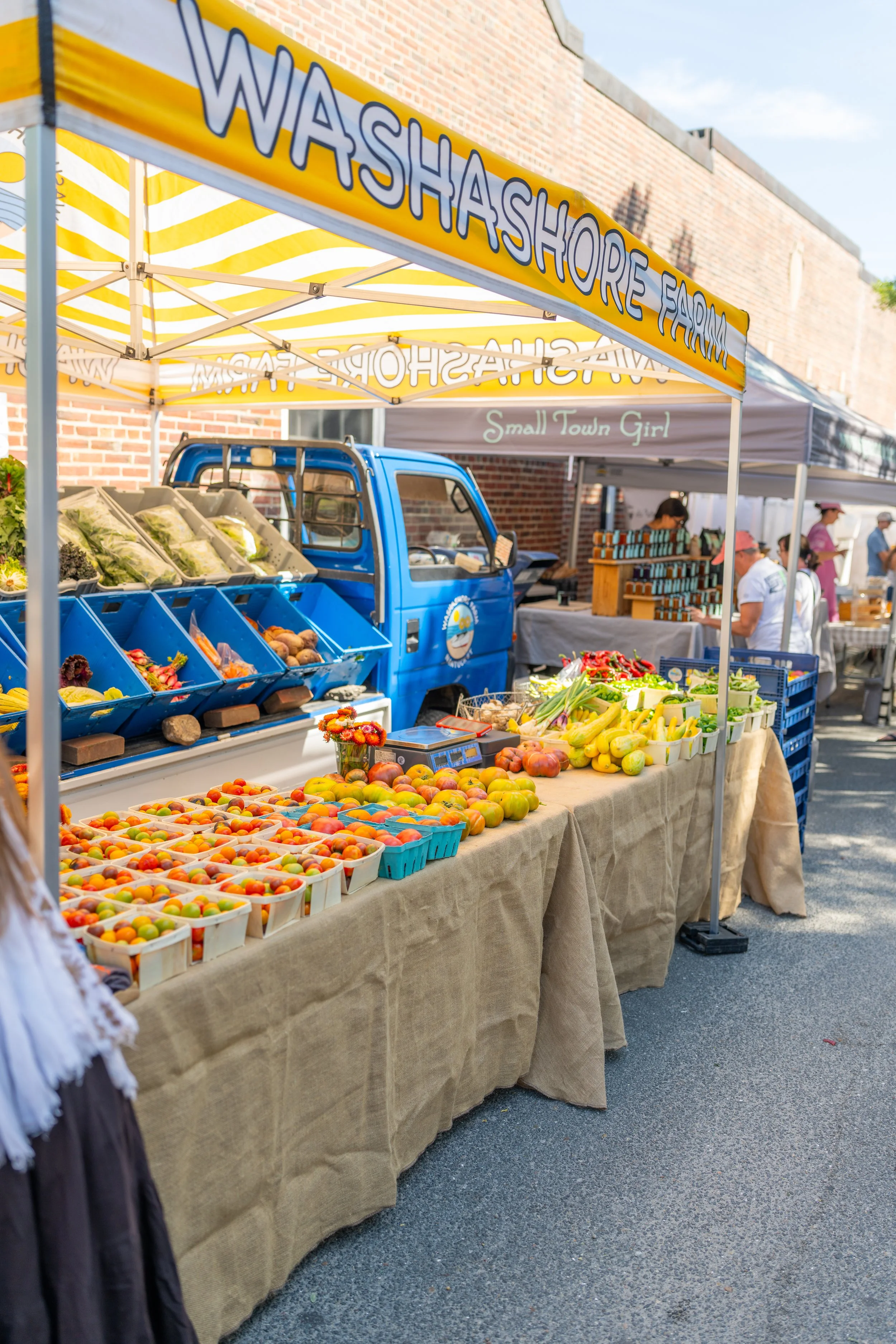 DSC05886.jpg