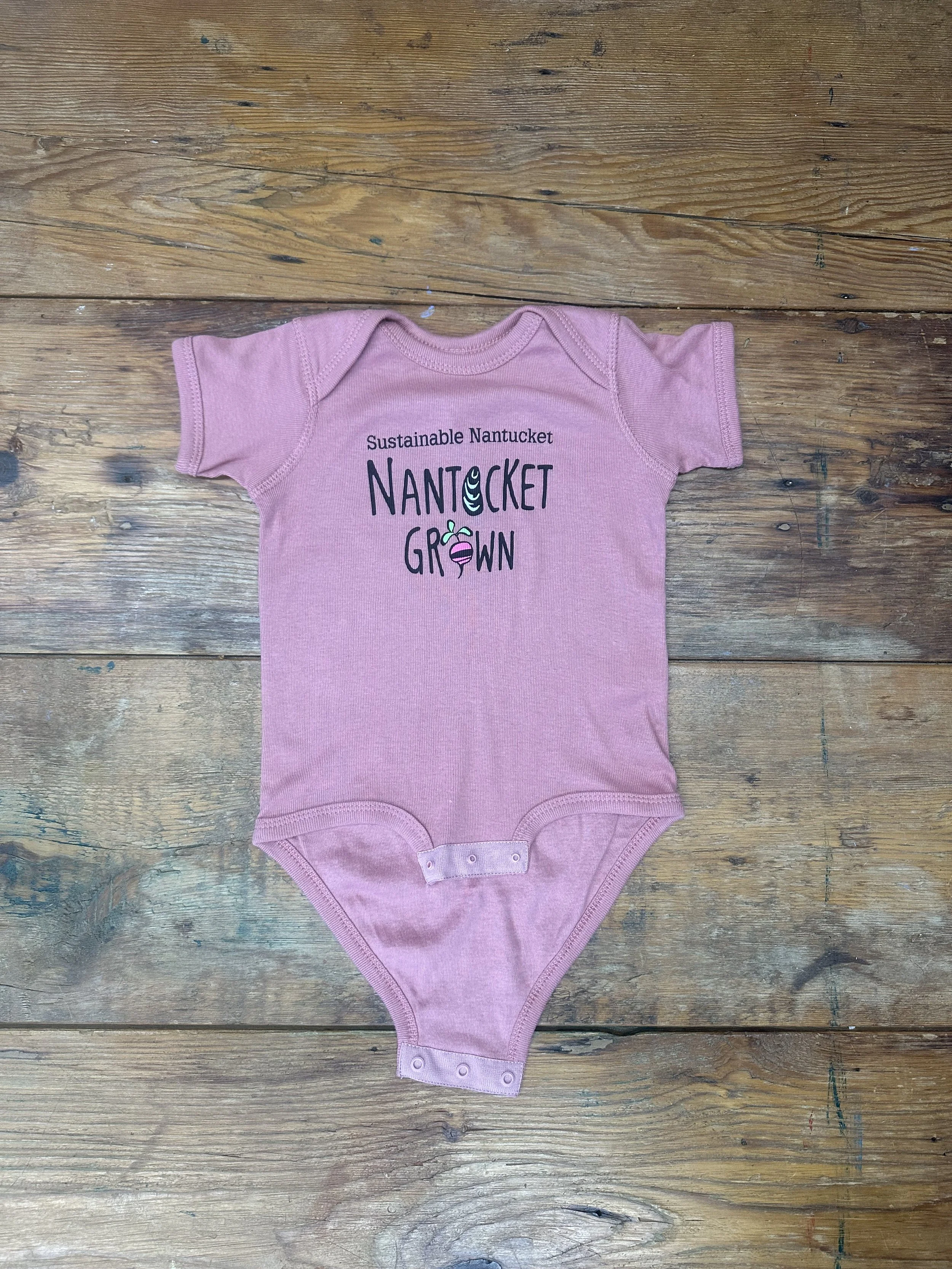 Nantucket Red Onesie.jpg