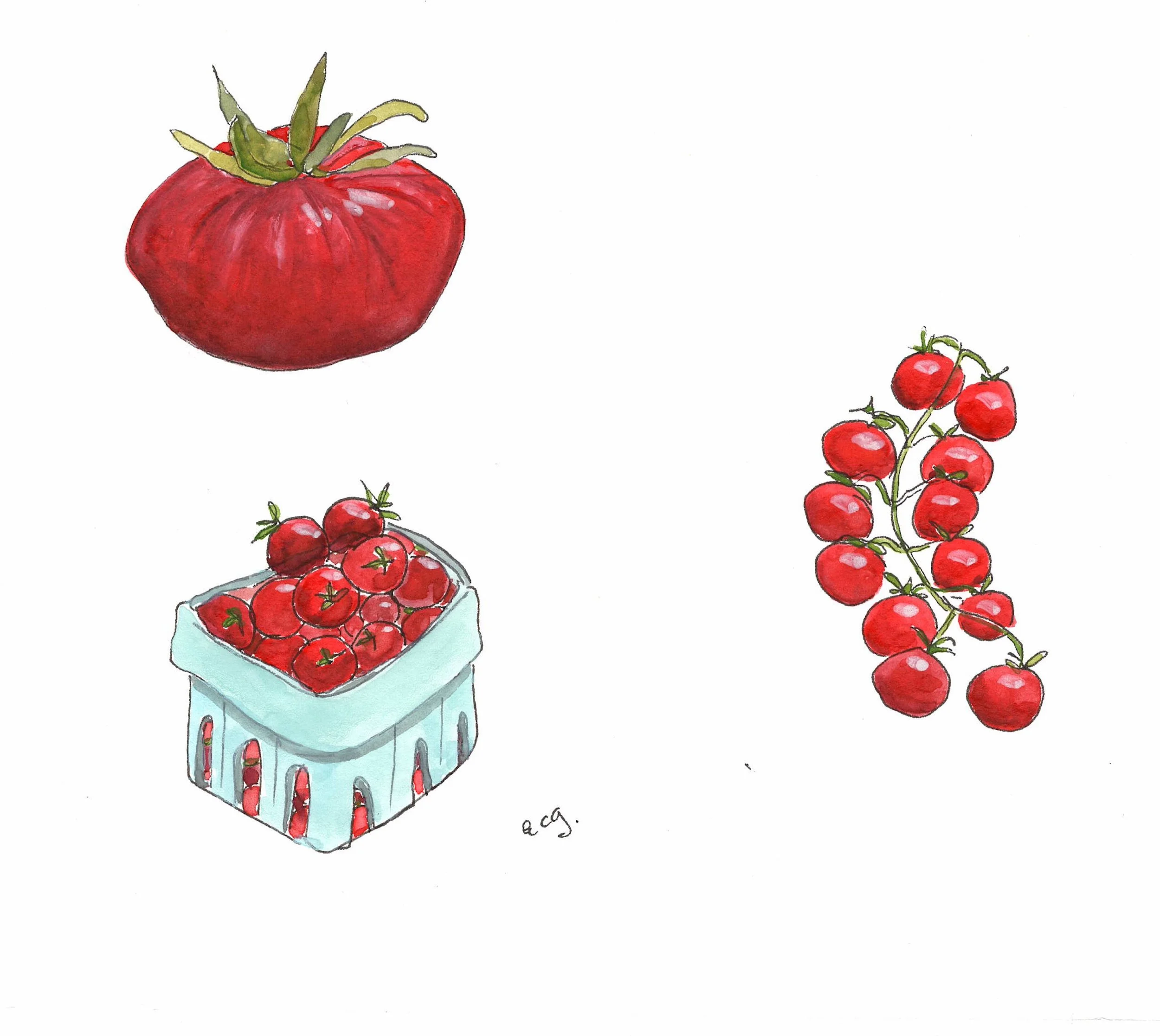 Tomatoes (1).jpeg