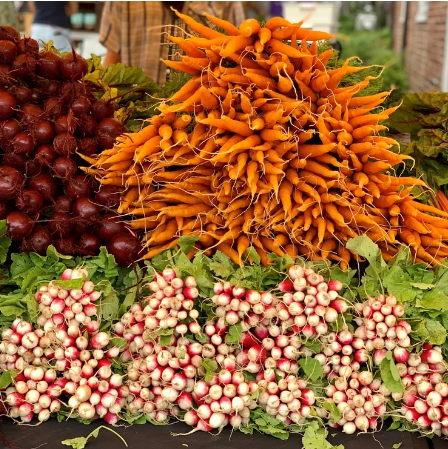 Farm CSA Photo.PNG