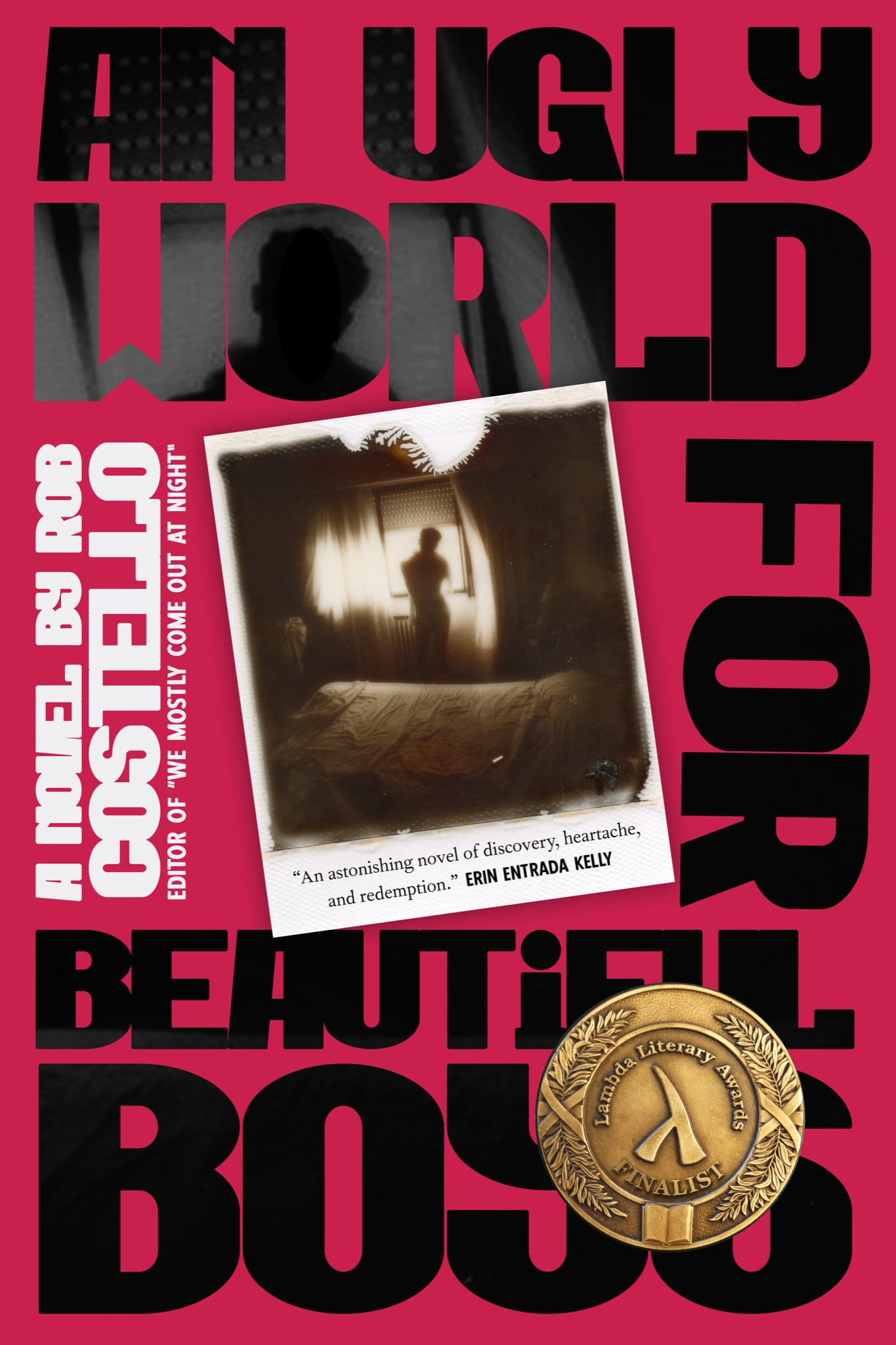 Cover: An Ugly World for Beautiful Boys