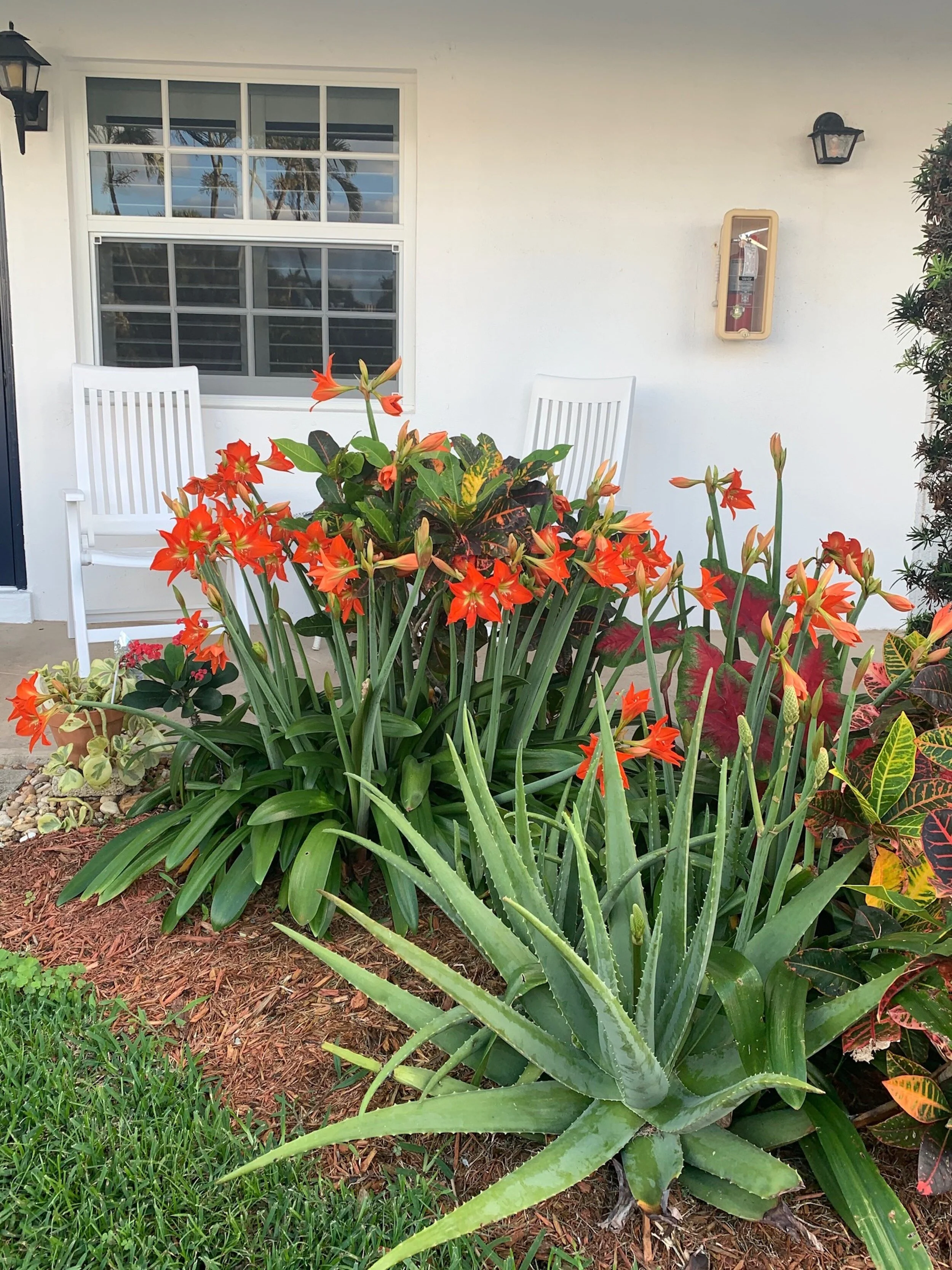 to CRC Social Club! — Colonial Ridge Club Ocean Ridge, Florida