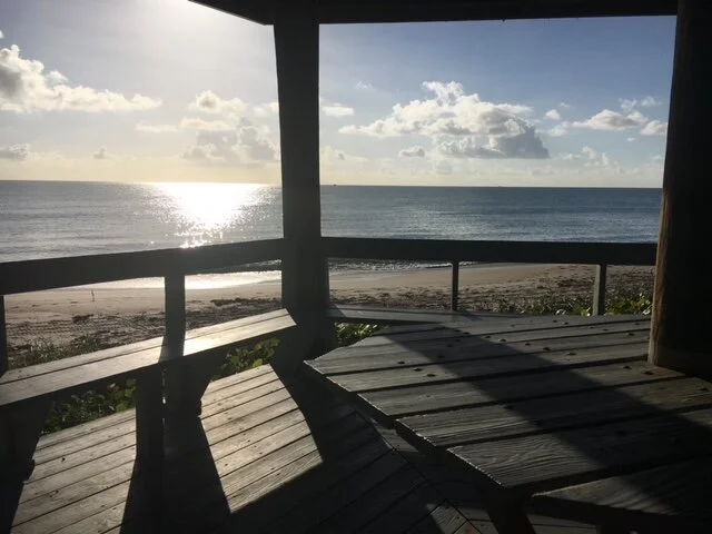Gazebo. Photo by Francesca Ciglar.