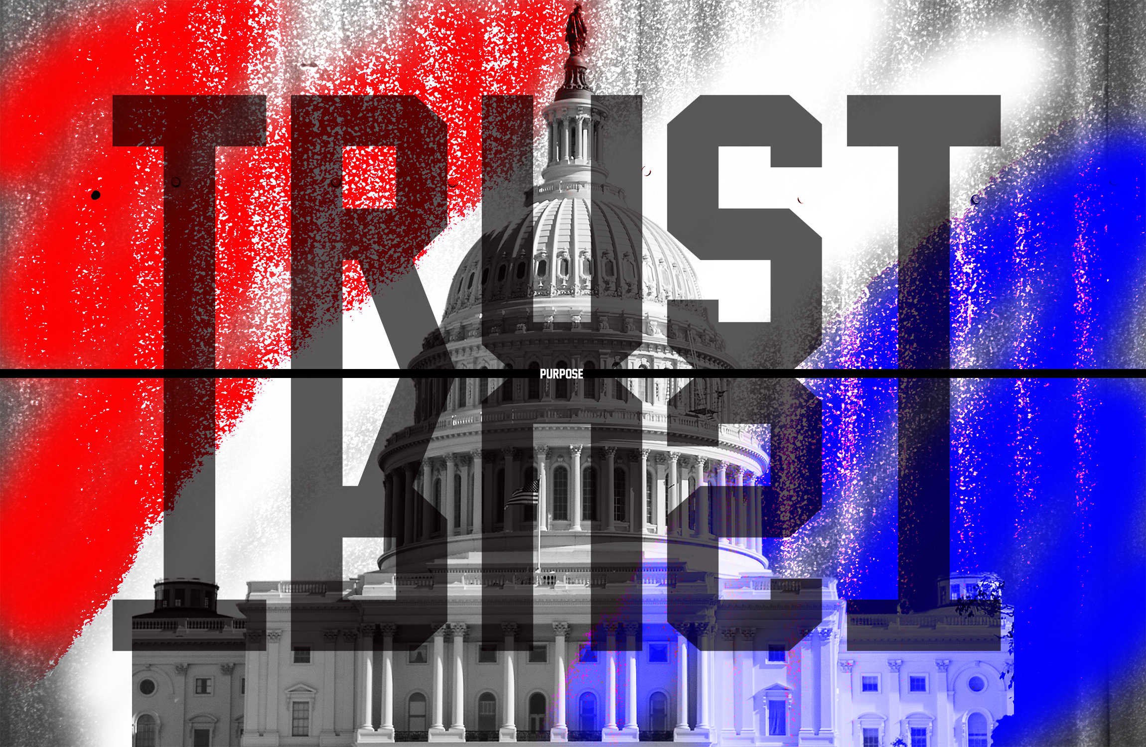 Trusting the Purpose of Government