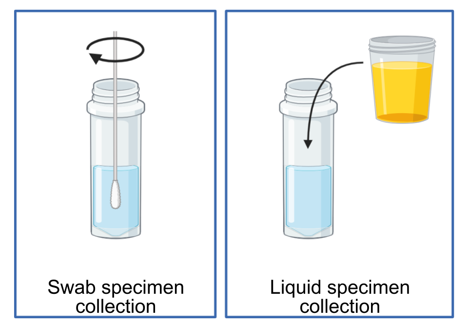 DxLab Inc. | Rapid & Affordable Molecular Testing Solutions