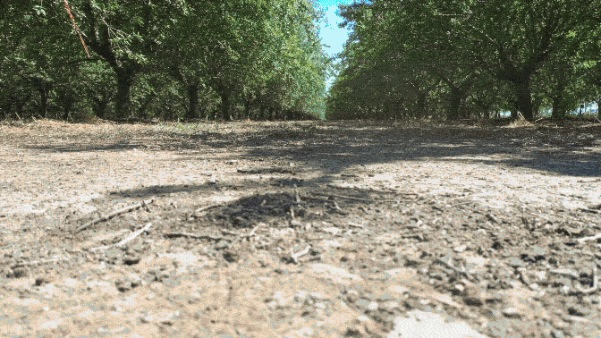 compressed-gif-homepage-2.gif
