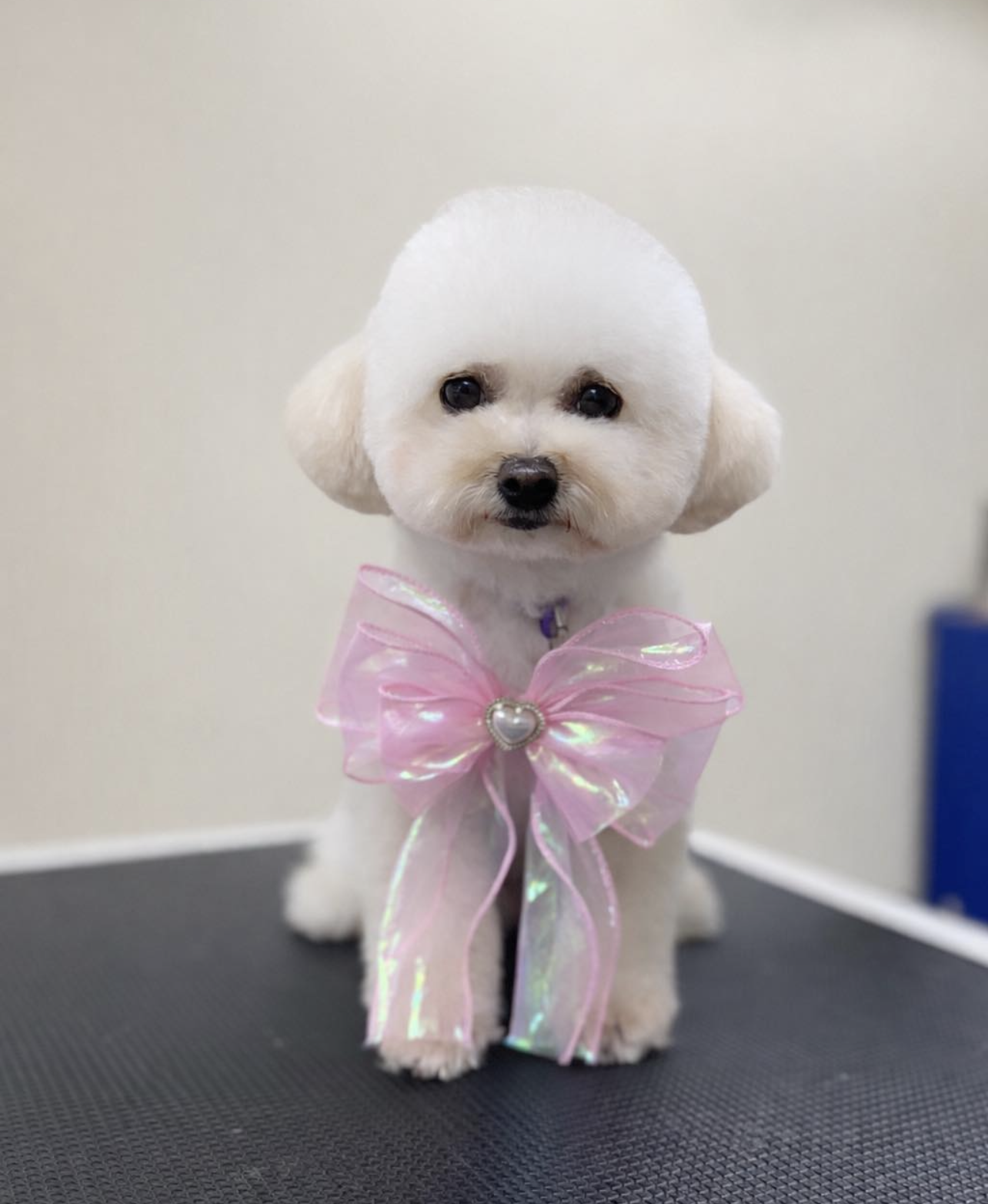 Screenshot 2026-02-18 at 9.52.14 PM.png