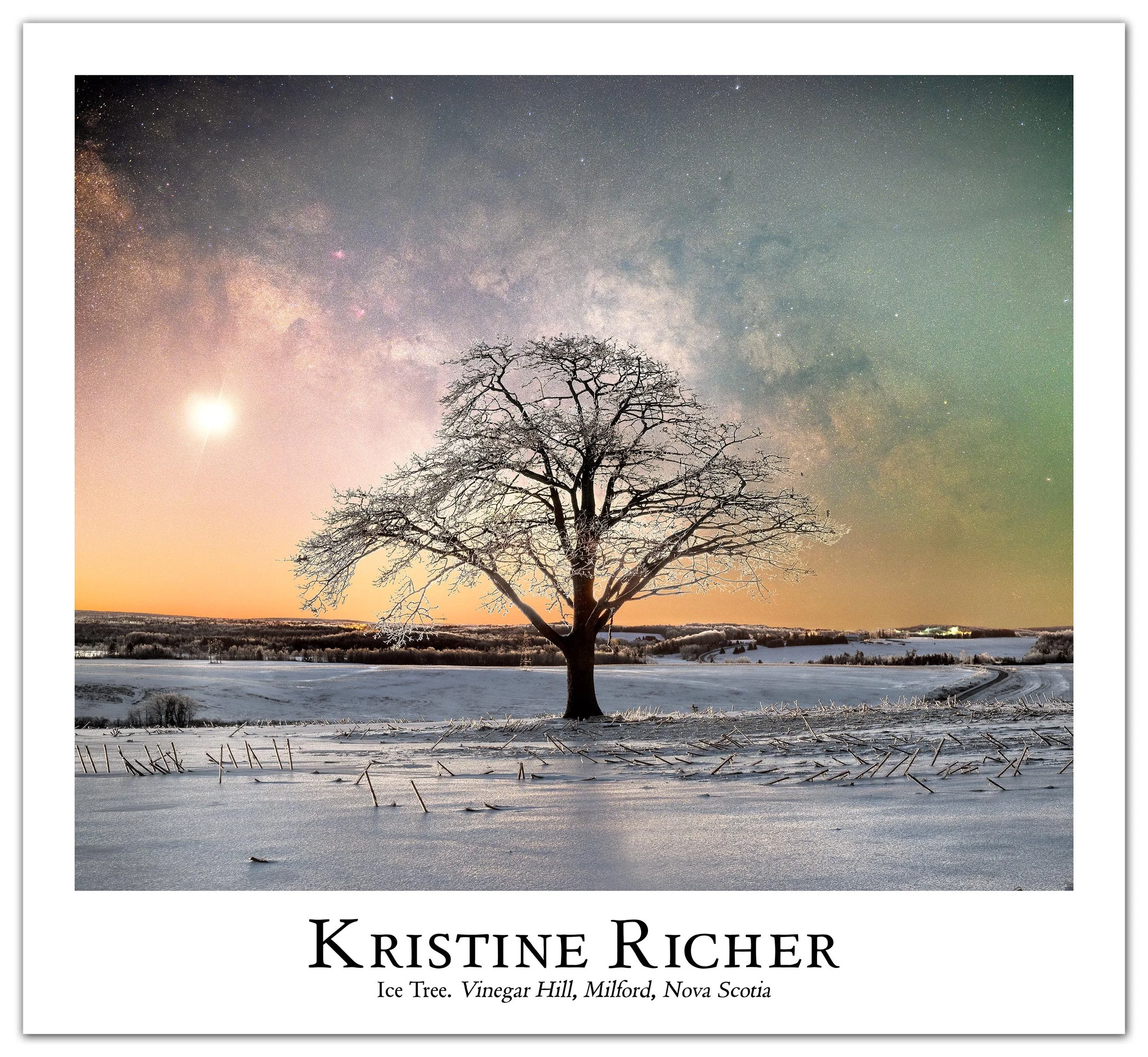 Ice Tree