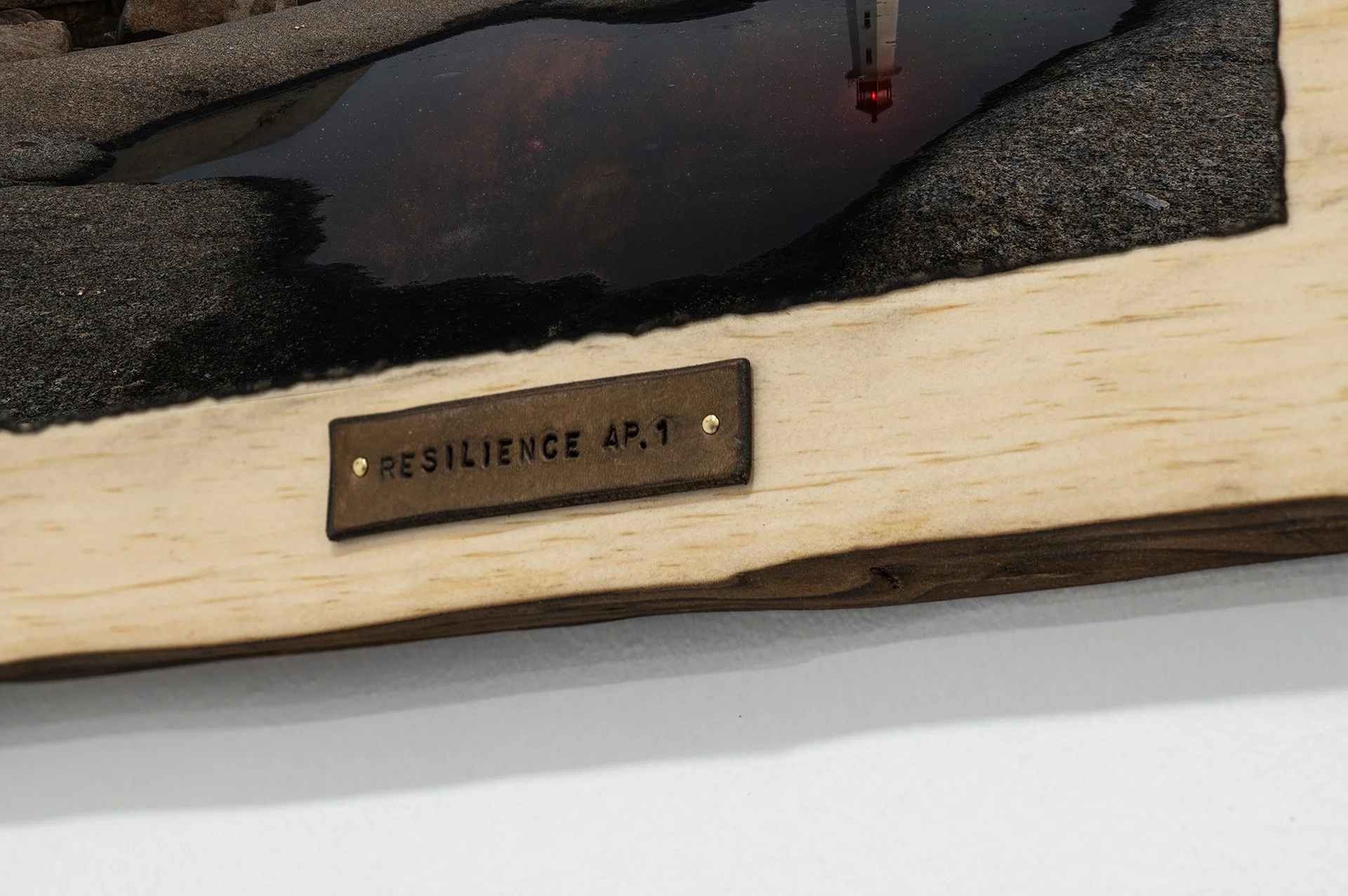 Resilience-3.jpg