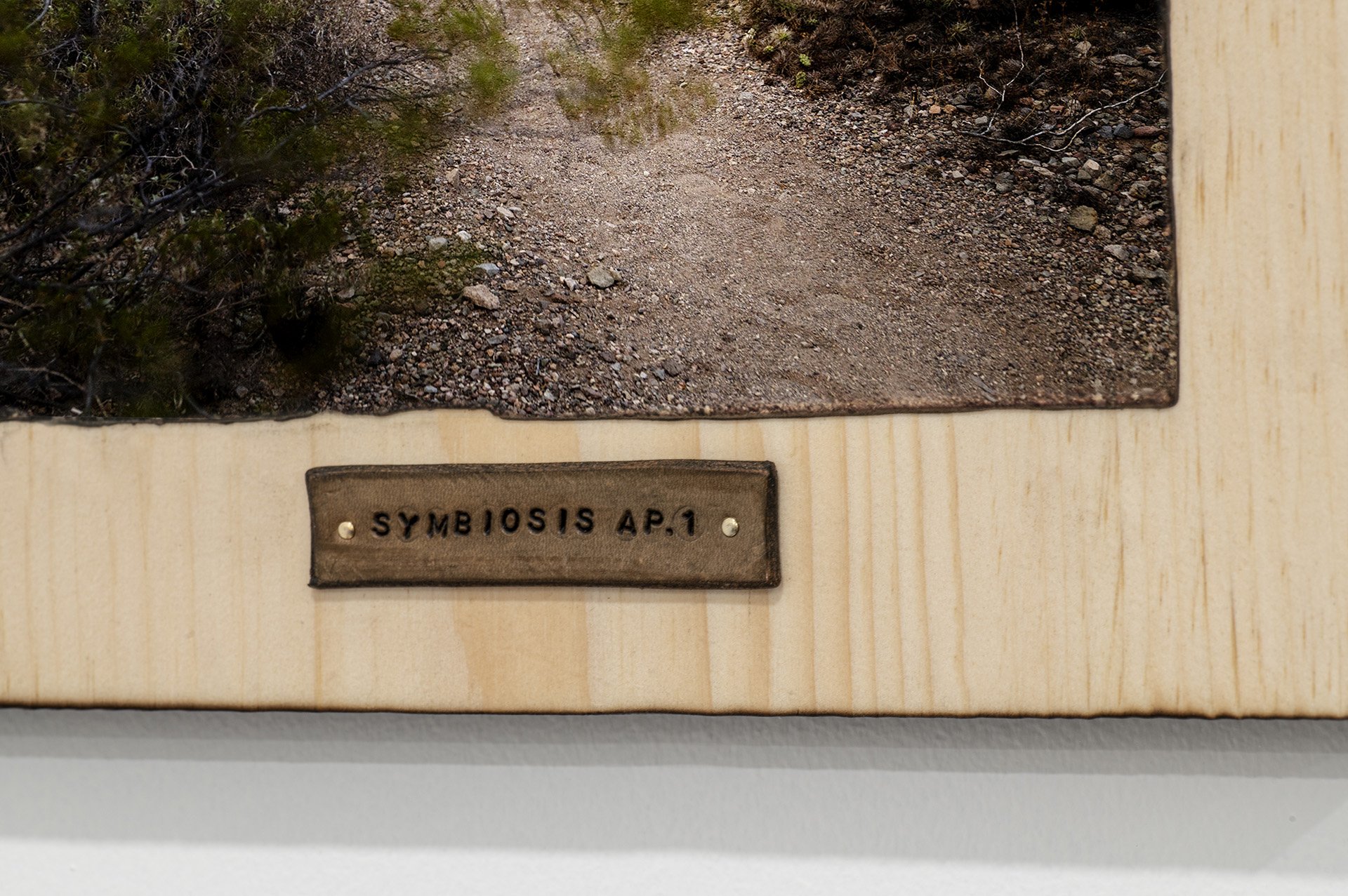 Symbiosis-3.jpg