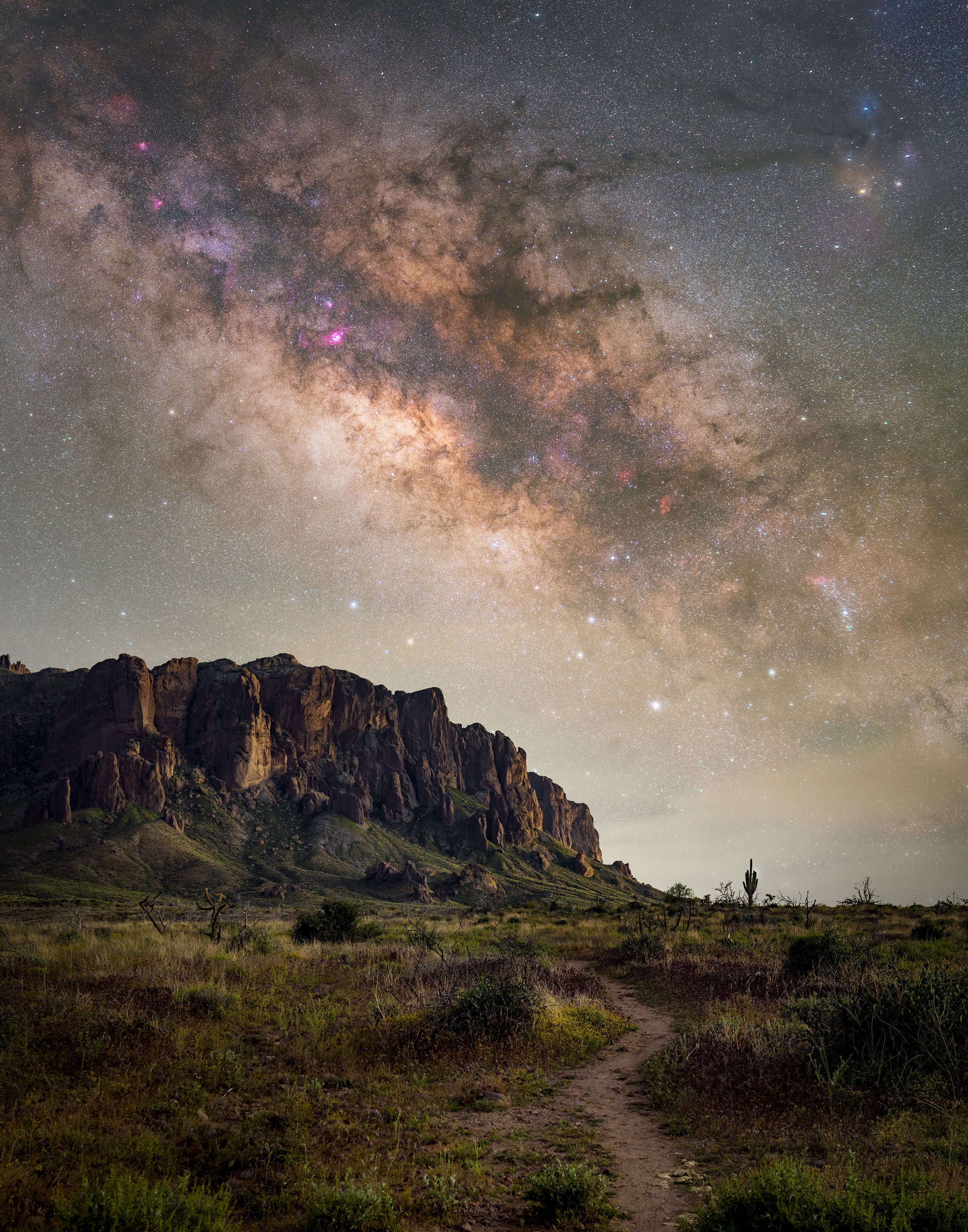 11x14 Print Lone Saguaro.jpg