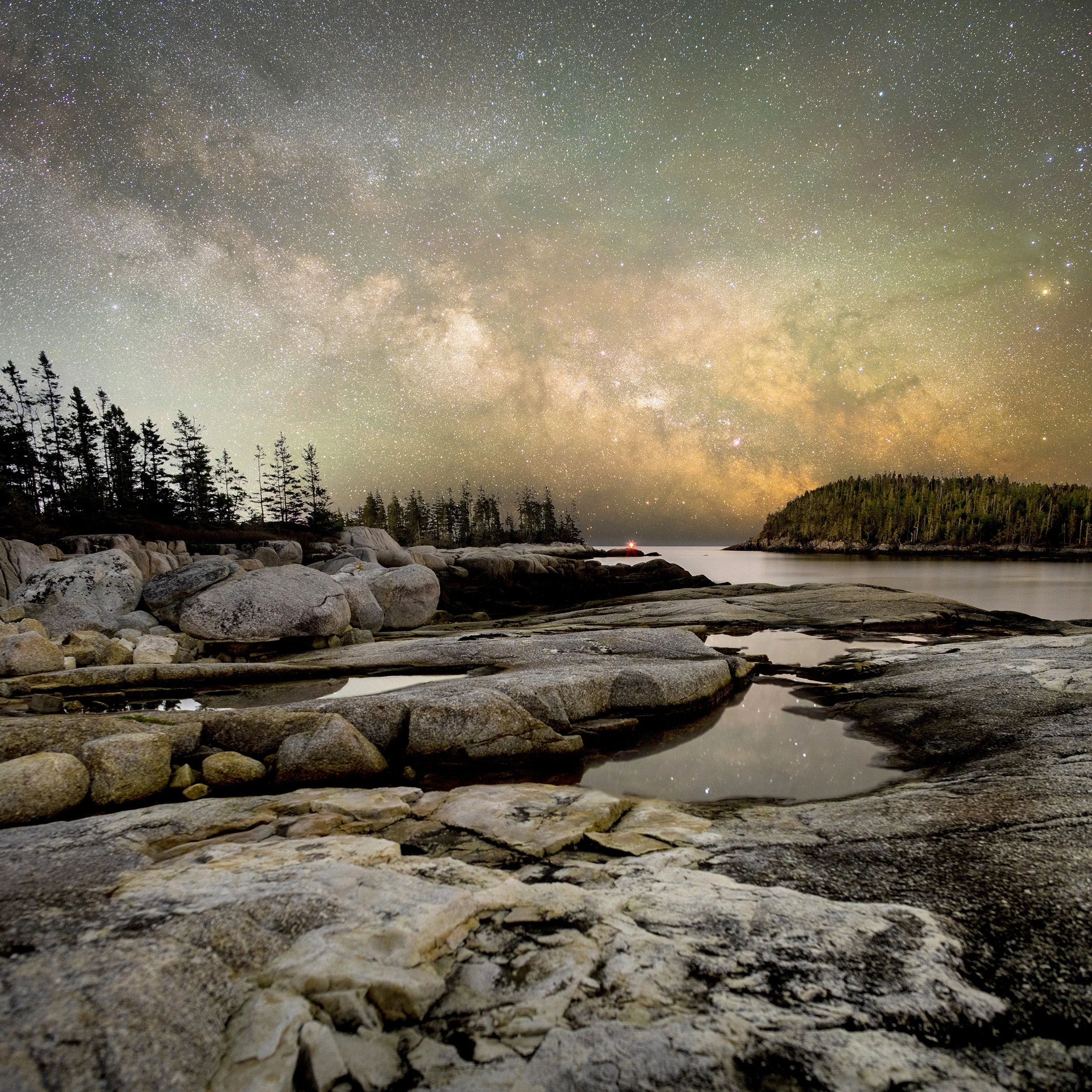 WEB 12x12 Print Spruce, Sea, & Stars.jpg