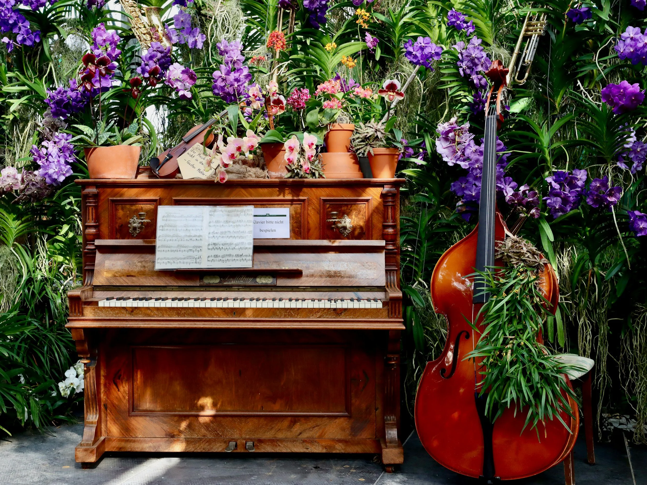 Studio Spring Recital