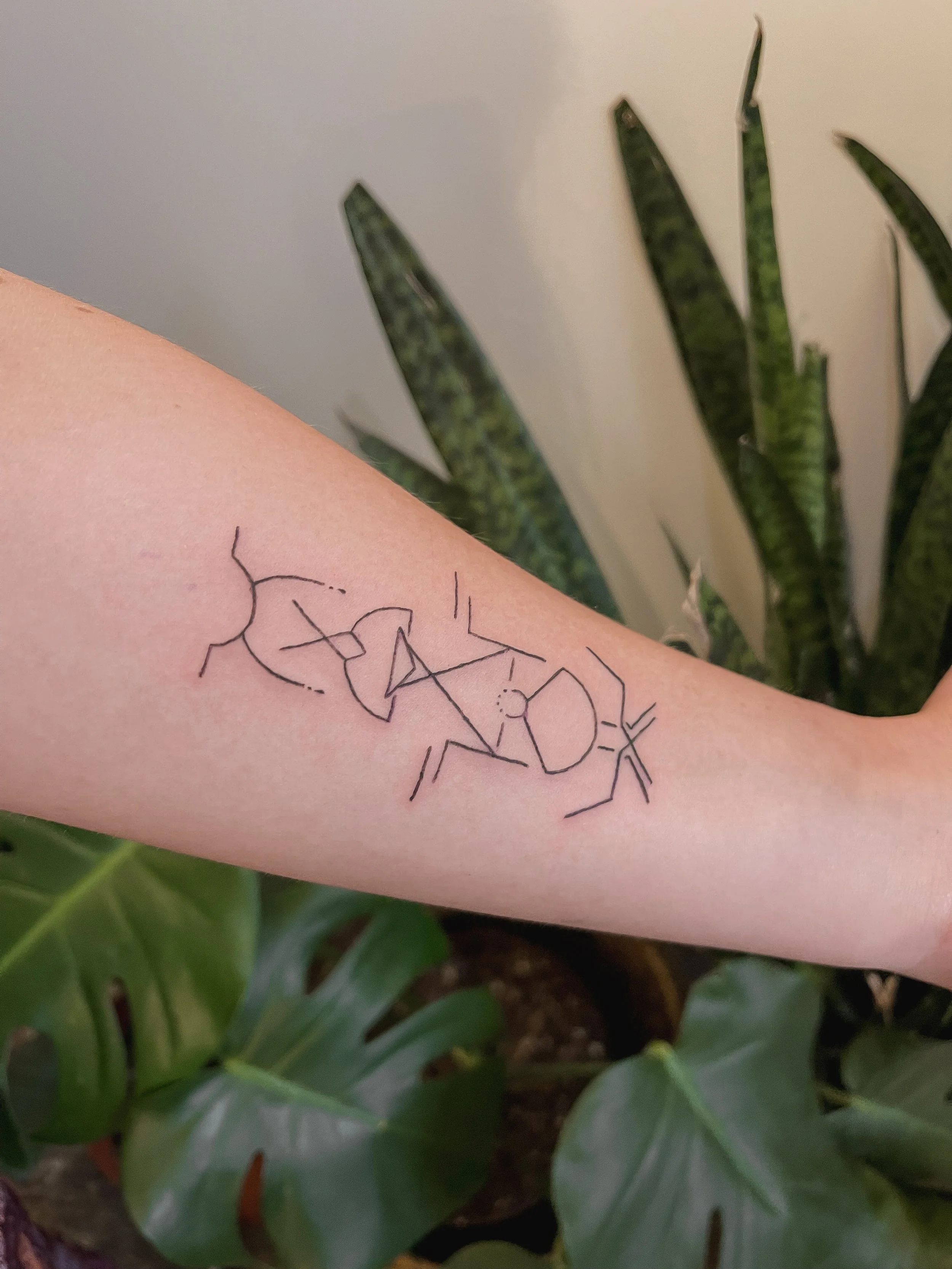 A tattoo of a minimalist line drawing of a flower on person's forearm, with green plants in the background.