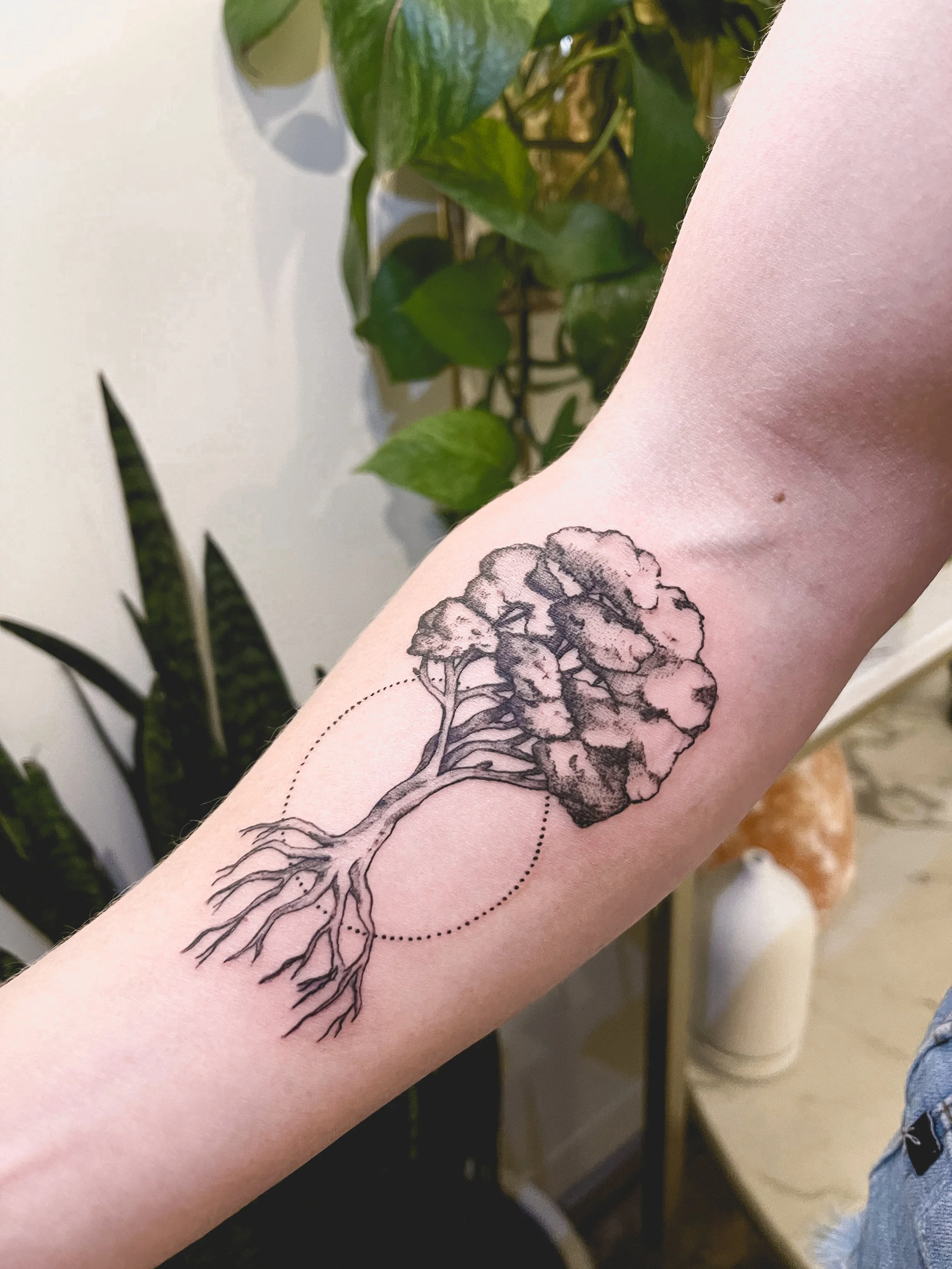 Tattoo of a tree with roots and a canopy in black ink on person’s forearm, with a dotted circle surrounding the canopy, against a background of indoor potted plants.