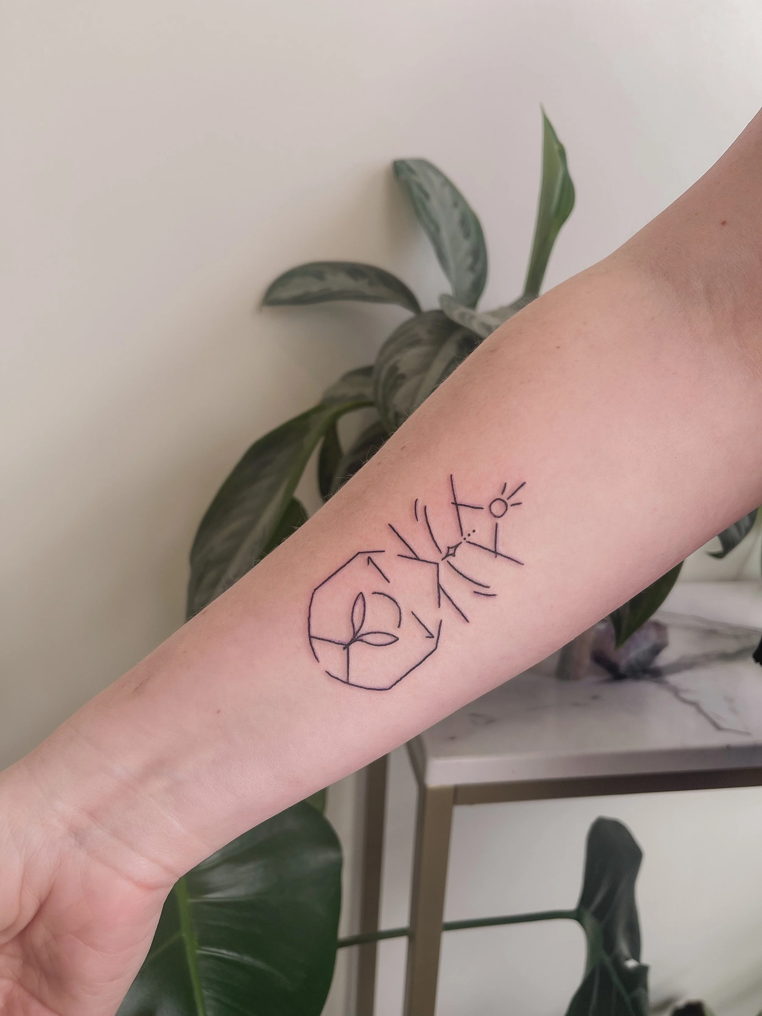 A tattoo of a minimalist line drawing on a person's inner forearm, featuring a small plant inside a geometric shape with a connected line leading to two small sun symbols.