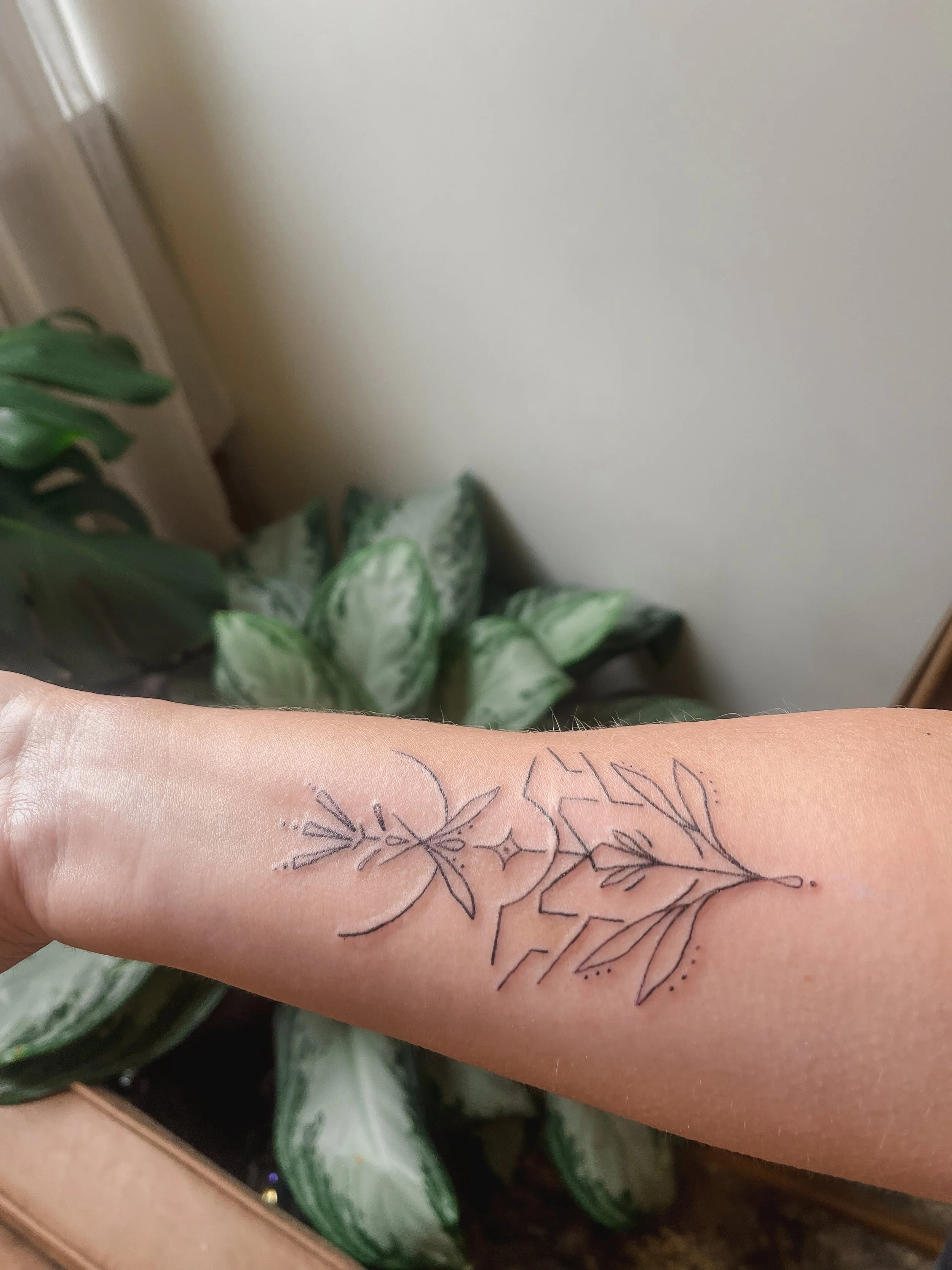 A tattoo of a butterfly and leaves on a person's forearm. In the background, there are green and white variegated houseplants and a plain wall.