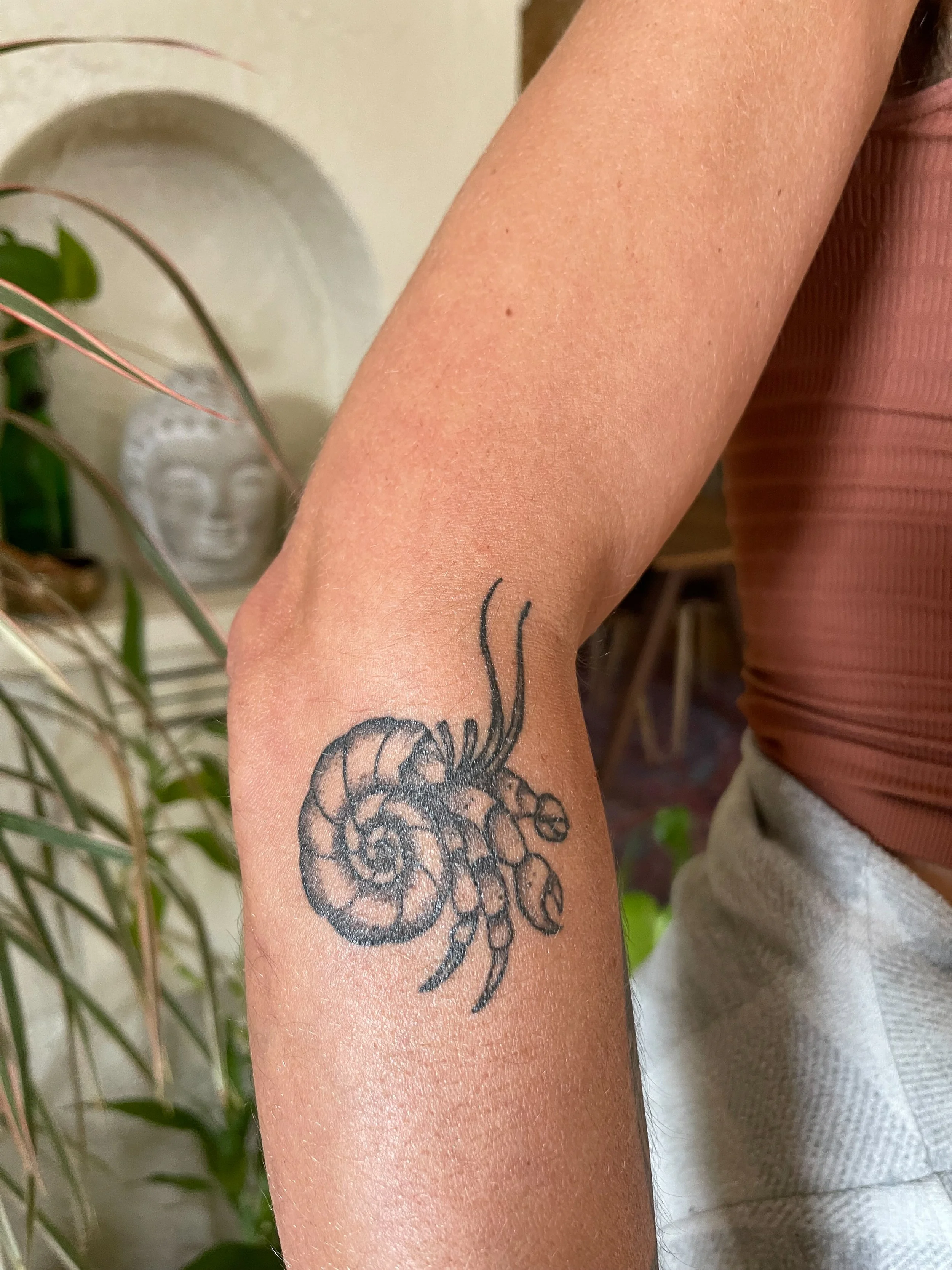 A close-up of a person's arm showing a black ink tattoo of a curled snail with antennae.