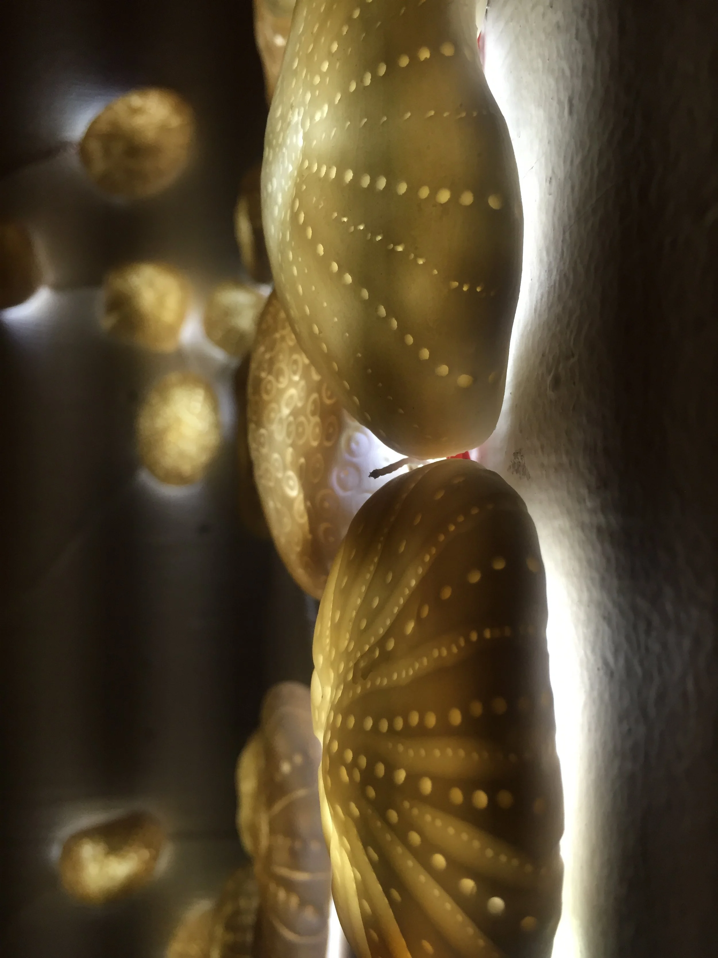 Margaret Forbes_Life Support Installation_Transluscent Porcelain and LEDs_36x48_bio.JPG