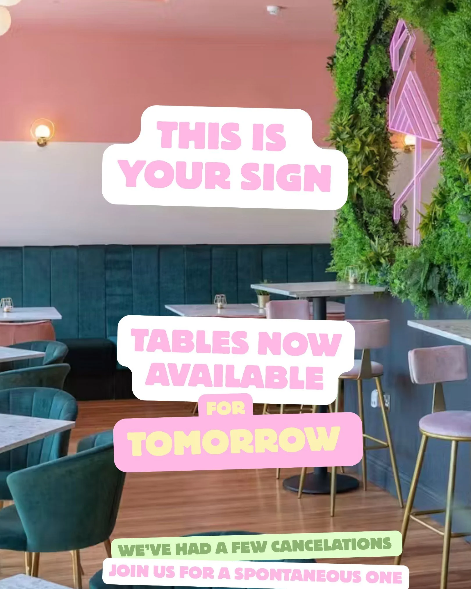 🚨 Join us Tomorrow 🚨 Send this to your Bestie for a Spontaneous one Tomorrow Book in Online! 🥂🫶 link in bio #cocktails #leicester #Audrey #bottomlessbrunch #prosecco #birthdays