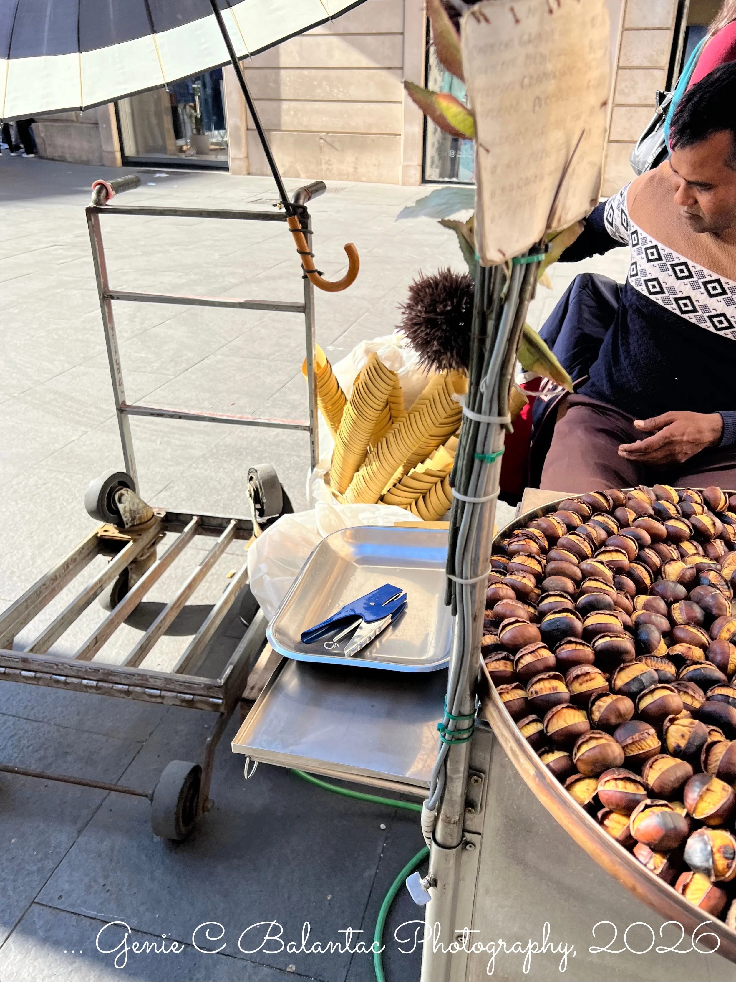 Chestnuts ... 