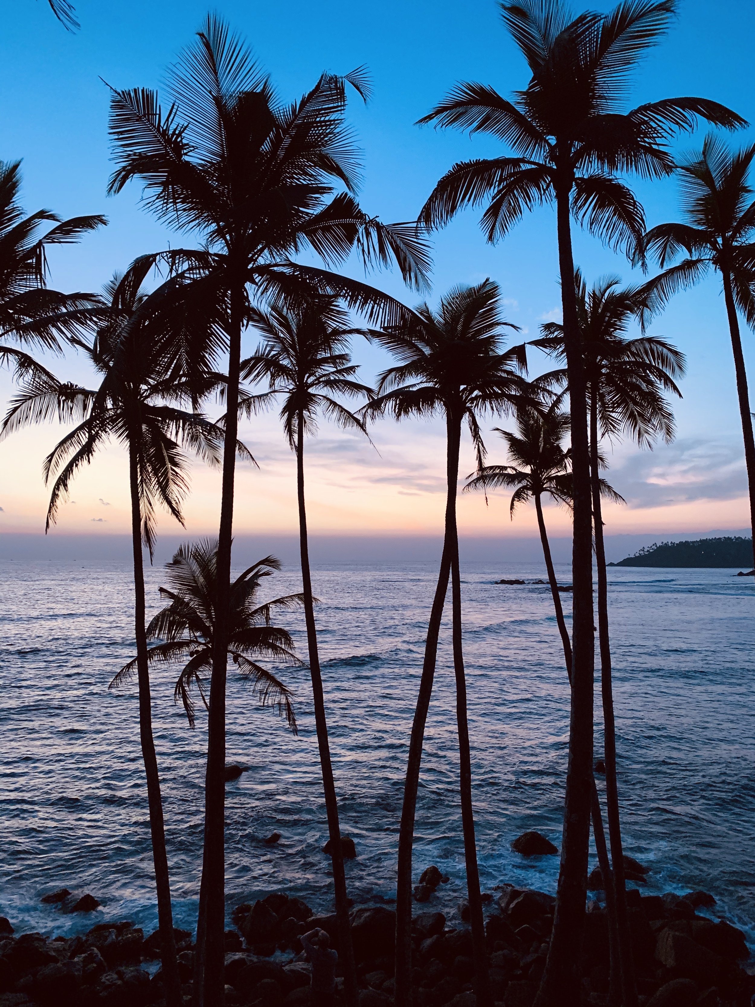 Sri Lanka .jpg