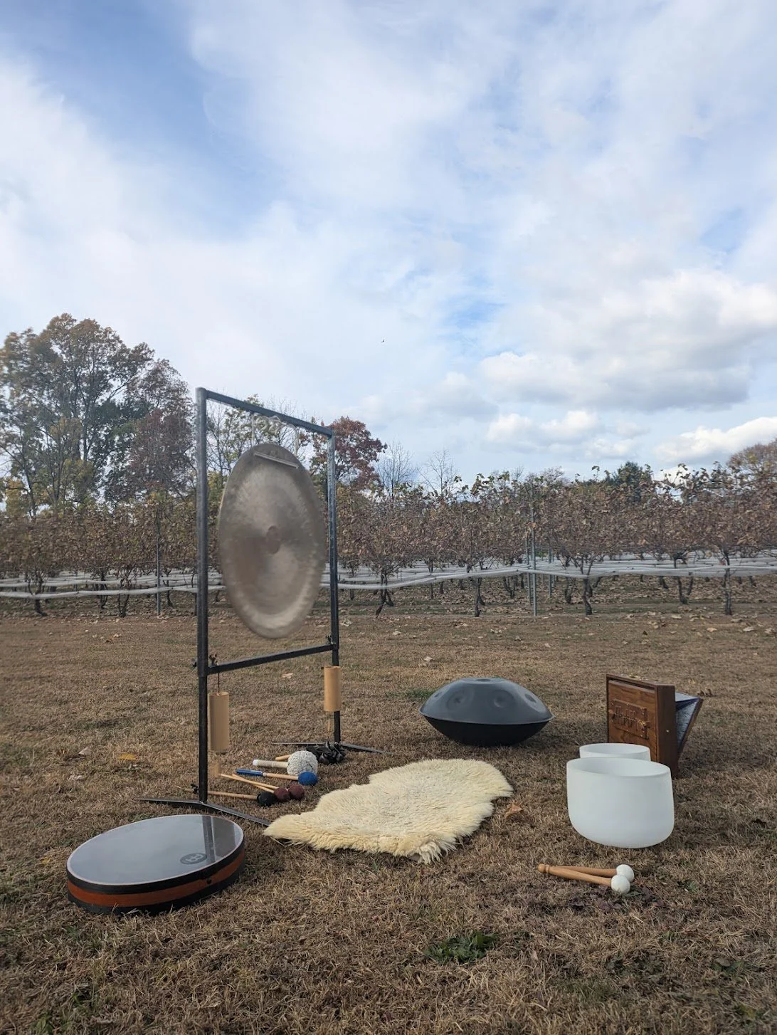 Last Sips & Sound of the season is this Saturday! 
Embrace the end of the growing cycle this year with special space to decompress, relax & be followed by celebrating this season with some delicious wine, exceptional hospitality and merrimen