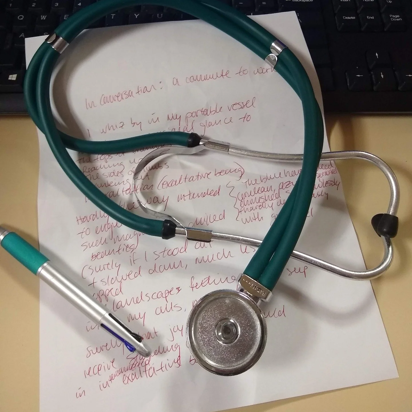 The juxtaposition of this first photo really takes me aback. The prose underneath is about the conflicting feeling of driving into work, whizzing on by in a vehicle, while tremendous beauty surrounds during a breathtaking sunrise. The speed of the tr