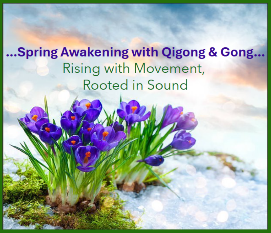 Spring Awakening with Qigong &amp; Gong: Rising with Movement, Rooted in Sound at Phoenixville Rec Center